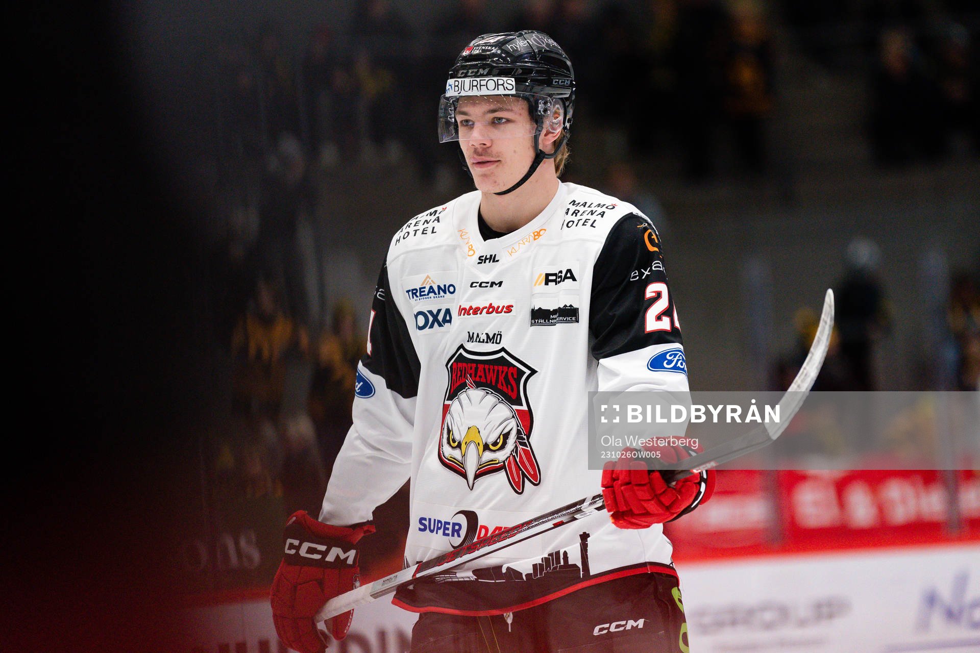 Malmö Redhawks Anton Wahlberg