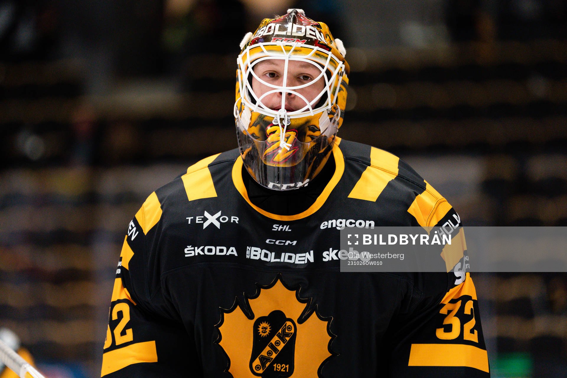 Skellefteås målvakt Linus Söderström