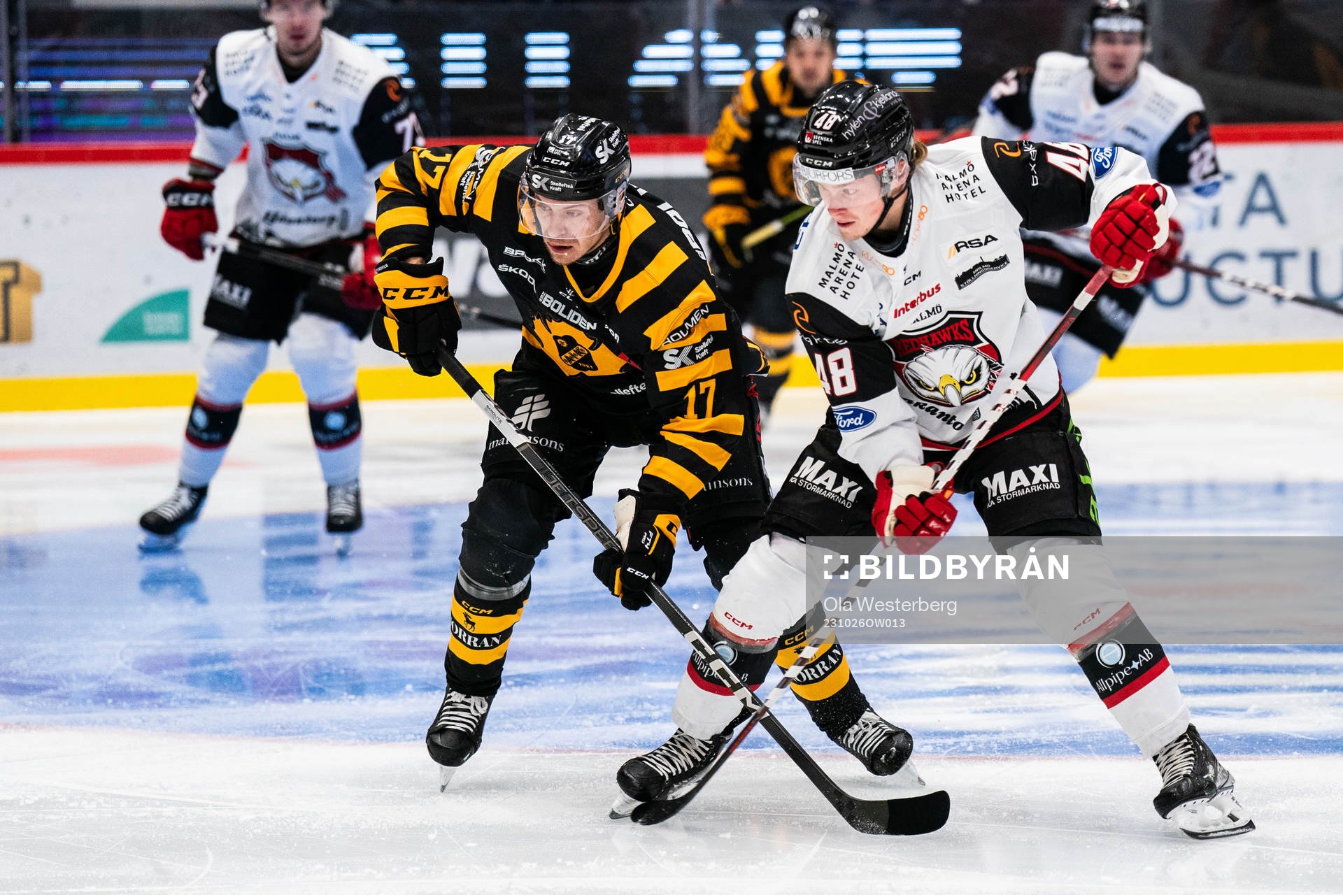 Skellefteås Pär Lindholm och Malmö Redhawks Lauri