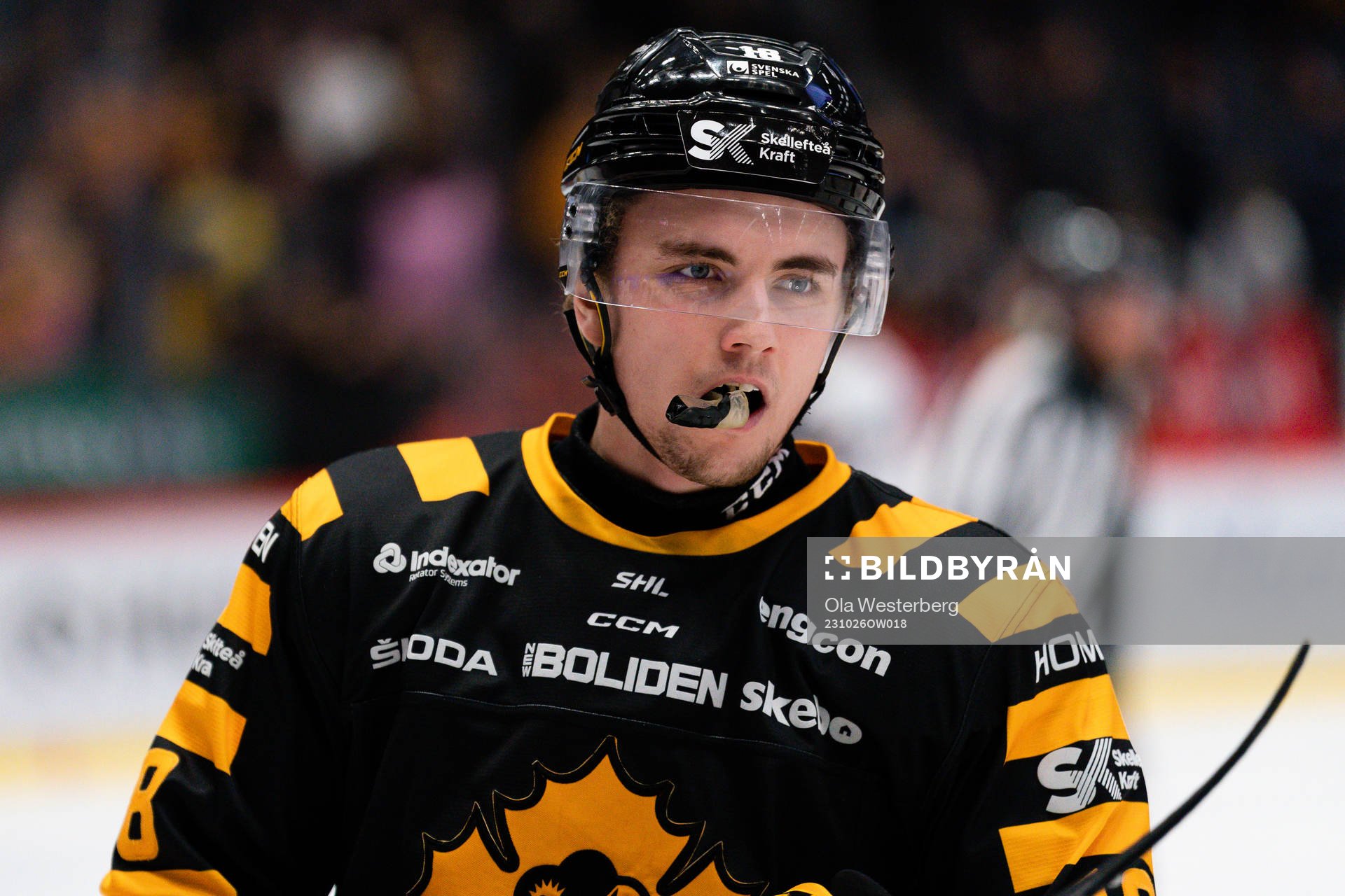 Skellefteås Elias Stenman
