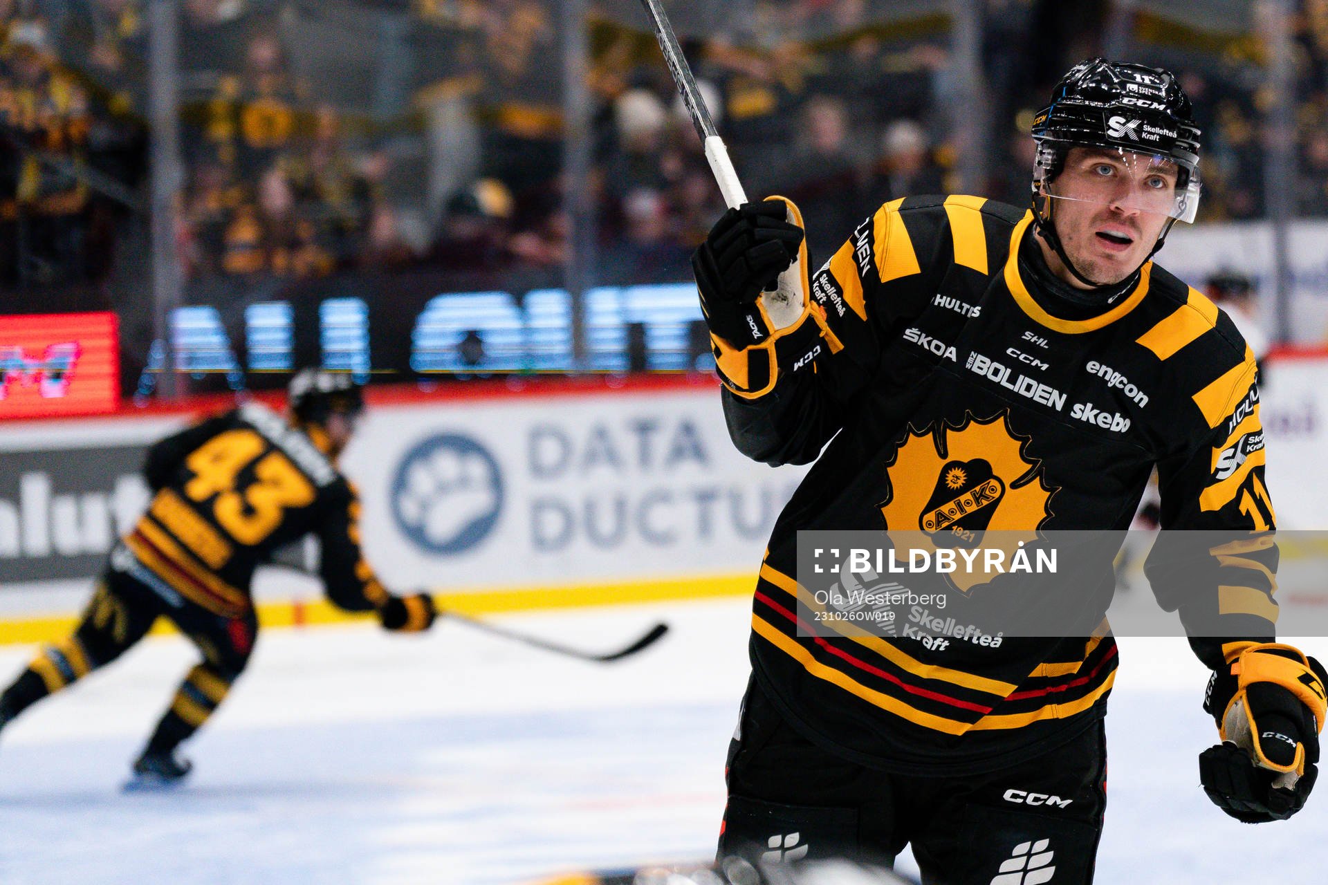Skellefteås Max Lindholm