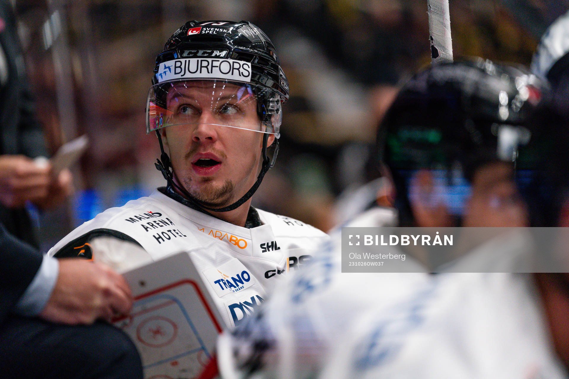 Malmö Redhawks Adam Ollas Mattsson