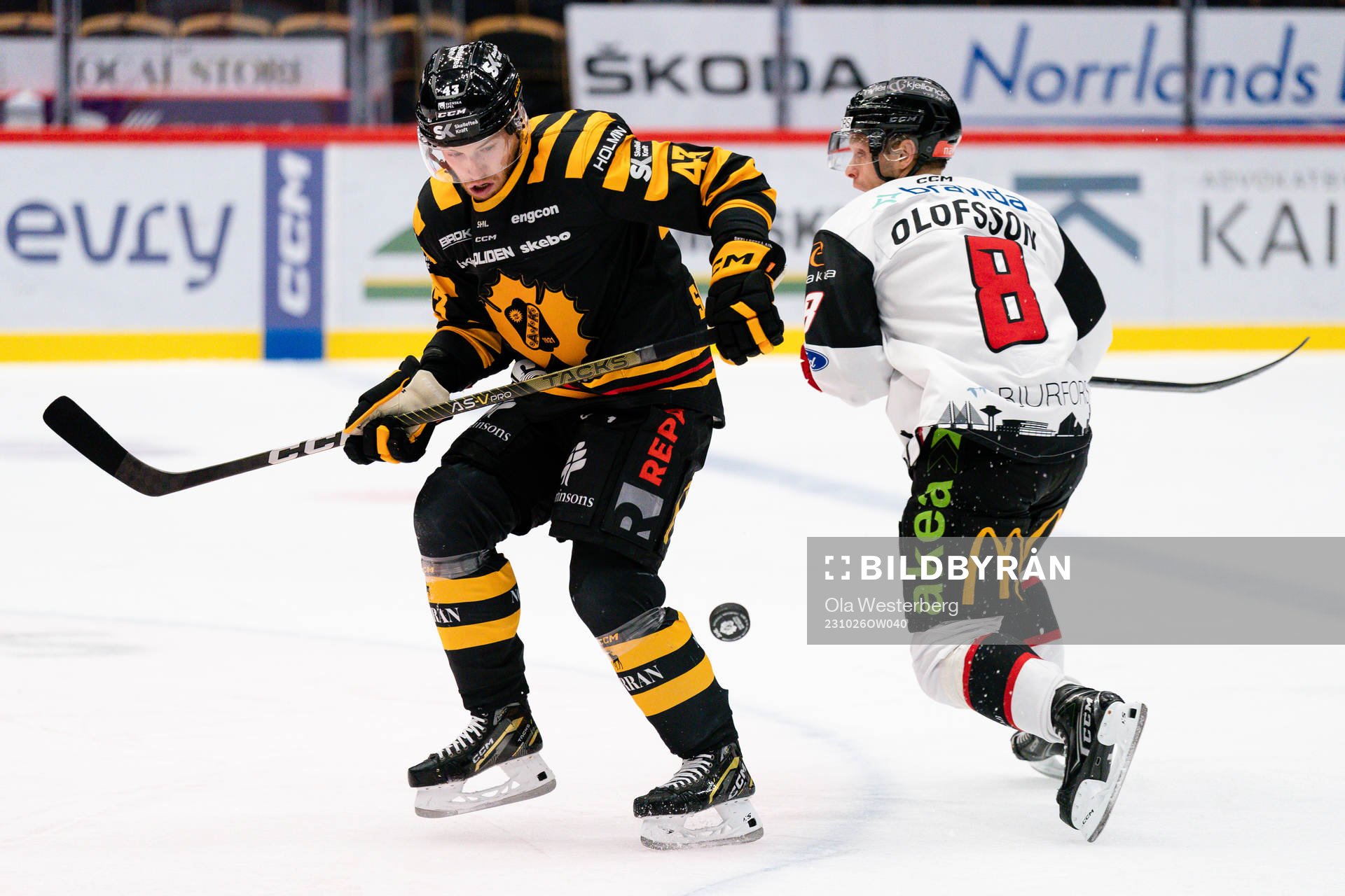 Skellefteås Filip Sandberg och Malmö Redhawks Johan