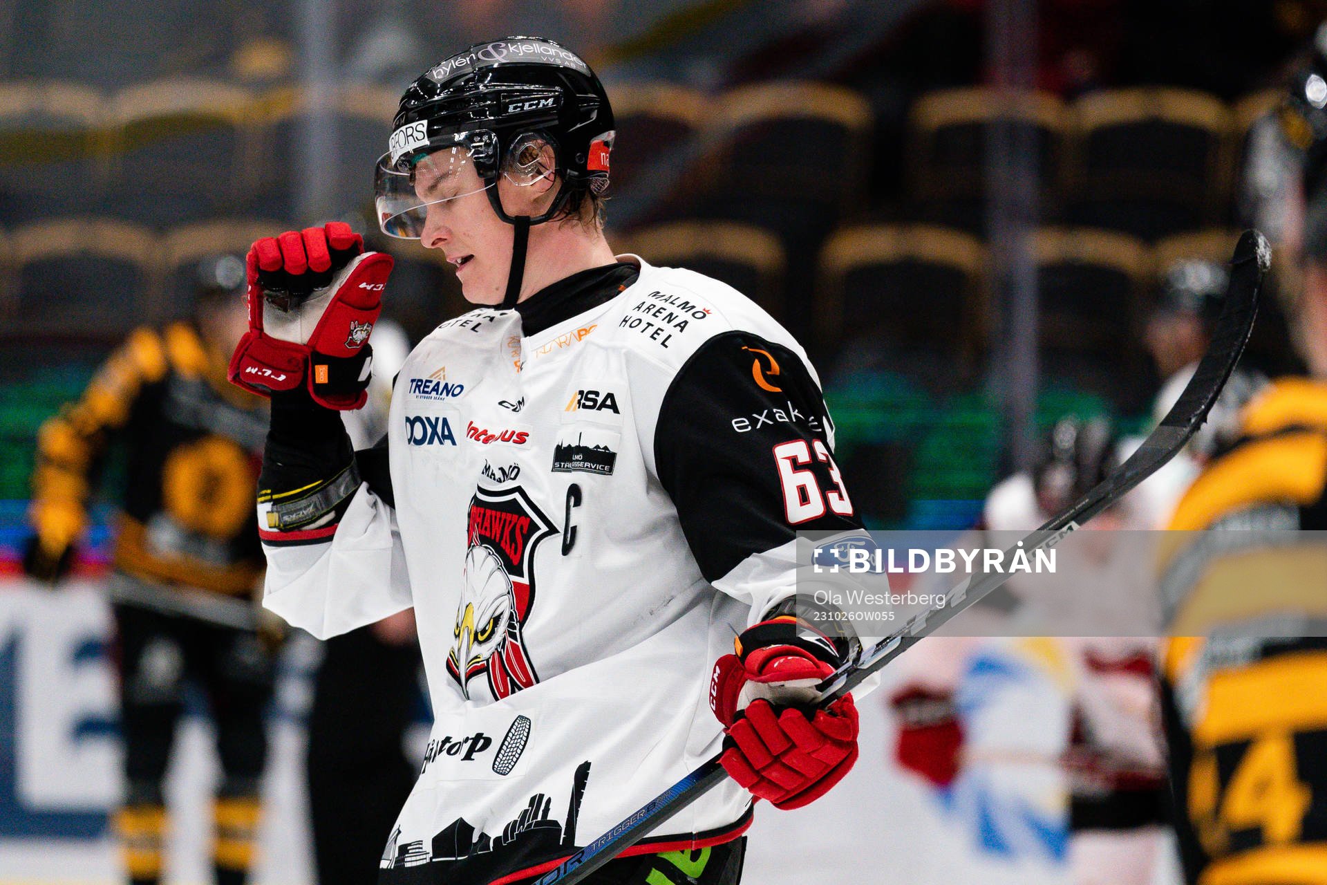 Malmö Redhawks Fredrik Händemark deppar