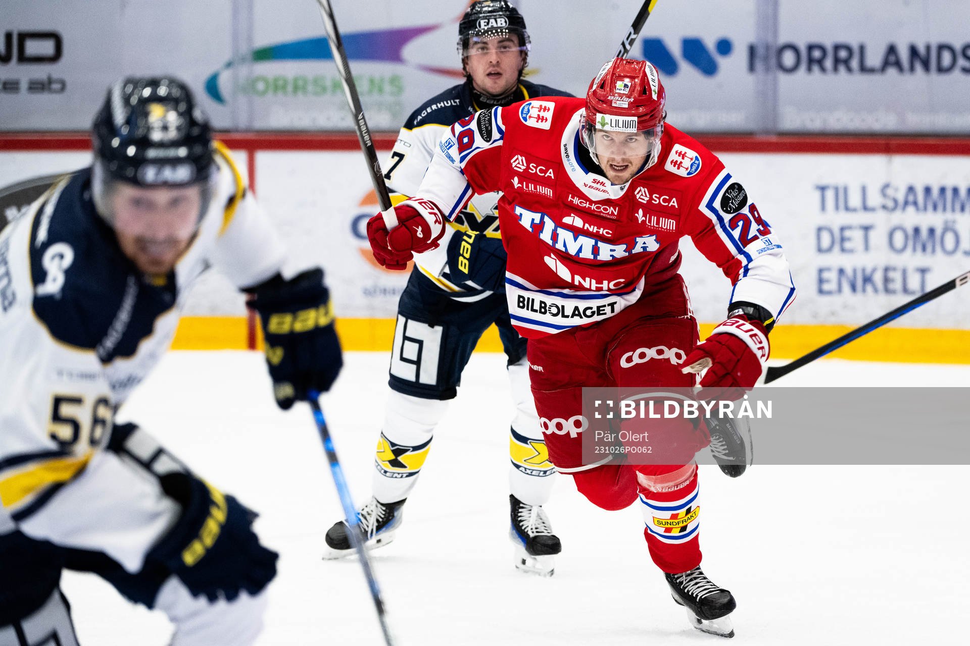 Timrås Filip Hållander