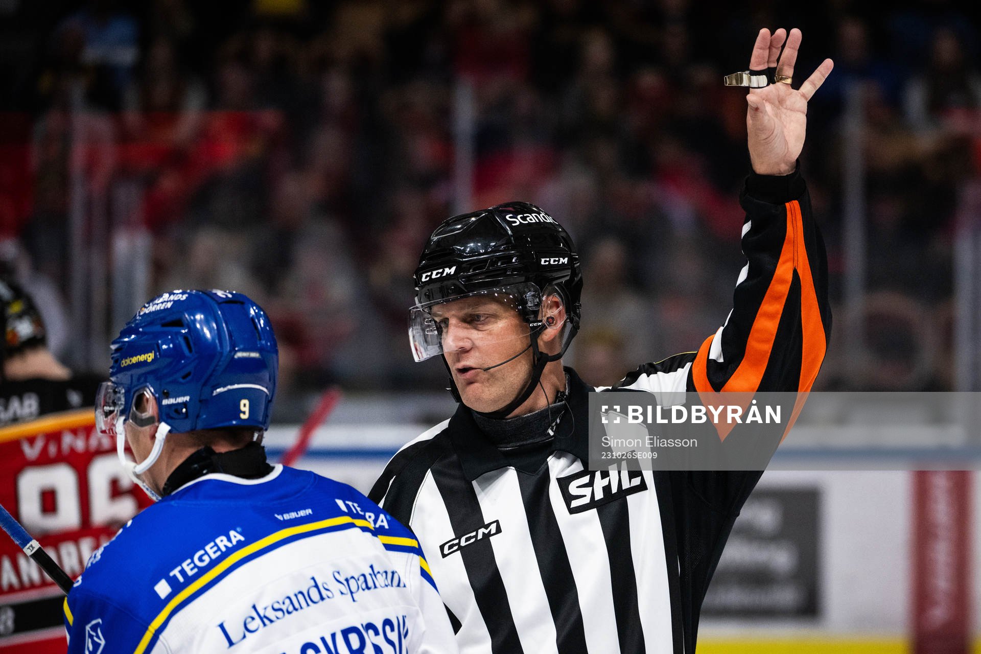 Domare Mikael Nord