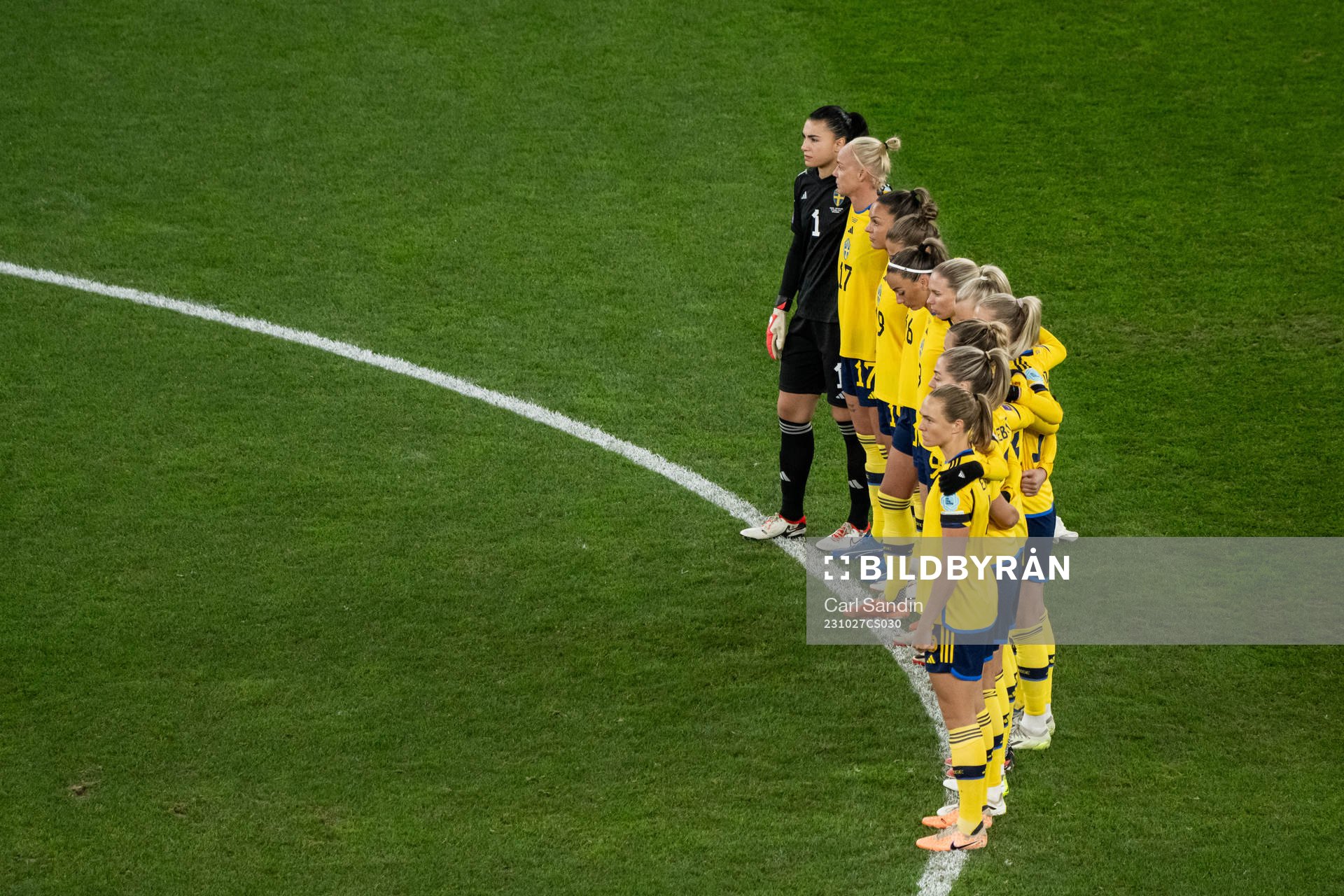 The players of Sweden