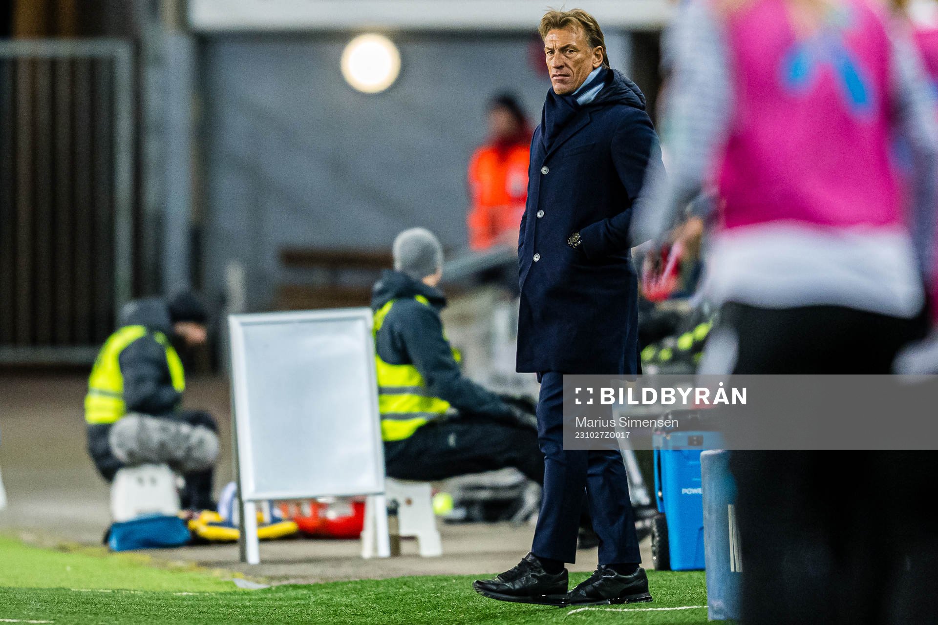Hervé Renard, head coach of France