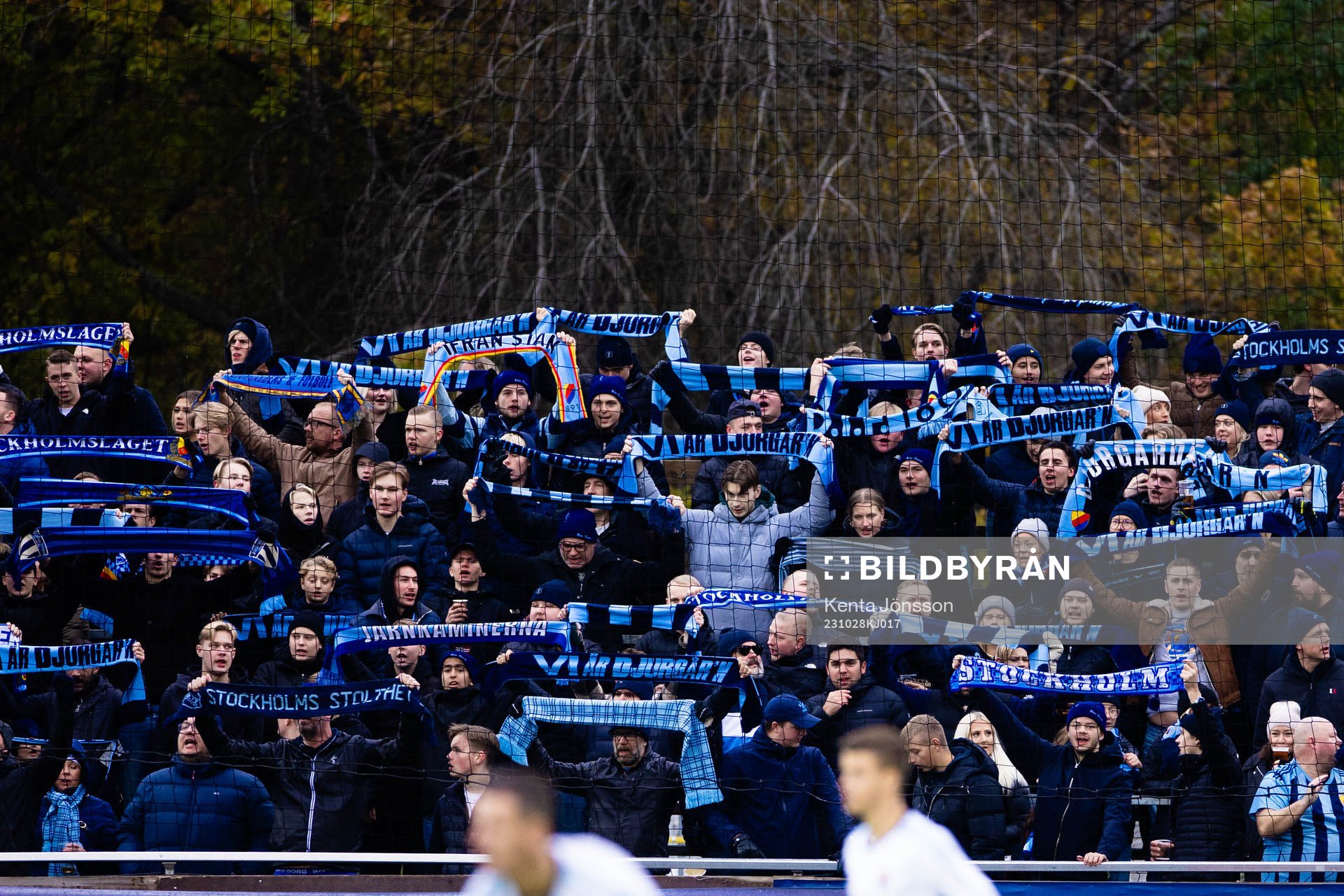 Djurgårdens supportrar