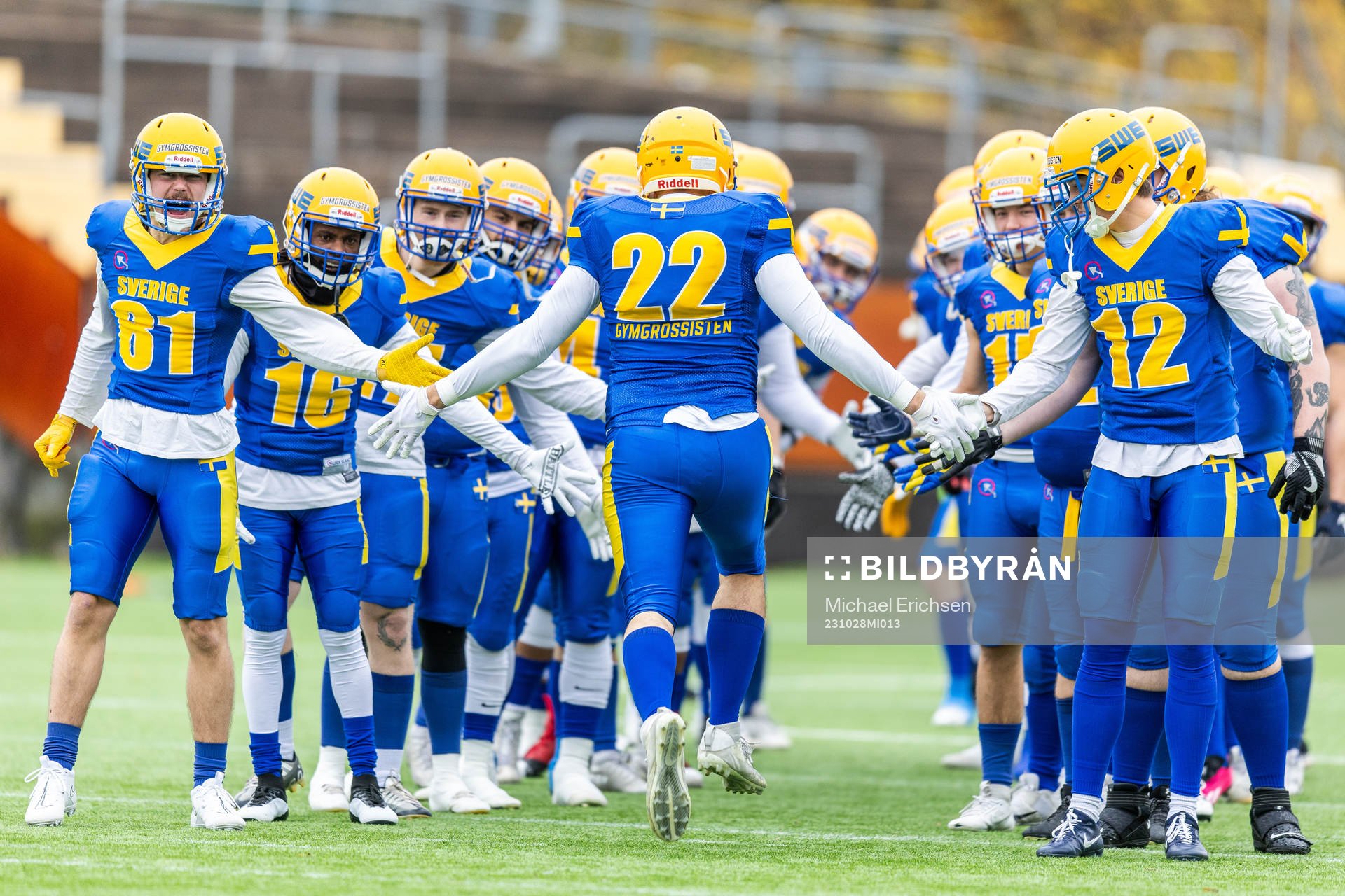 Players of Sweden