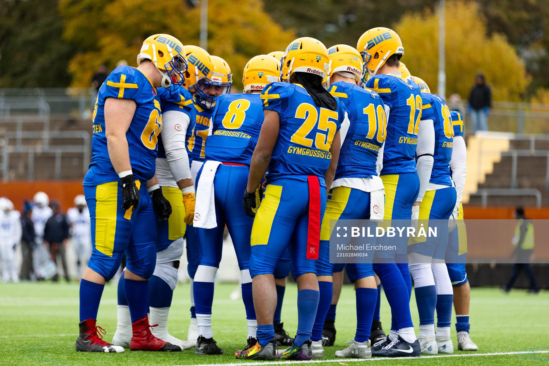 Players of Sweden