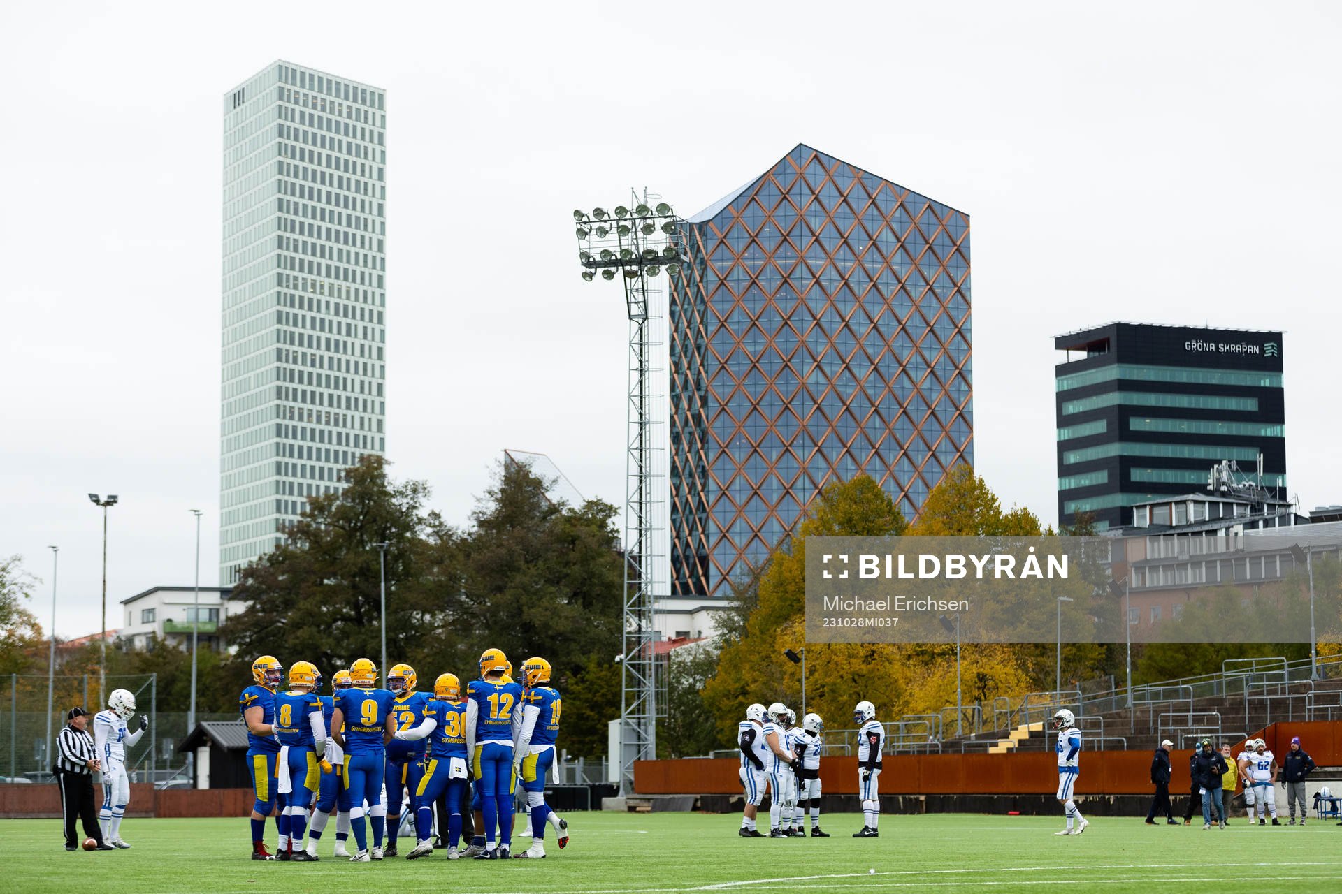 Players of Sweden
