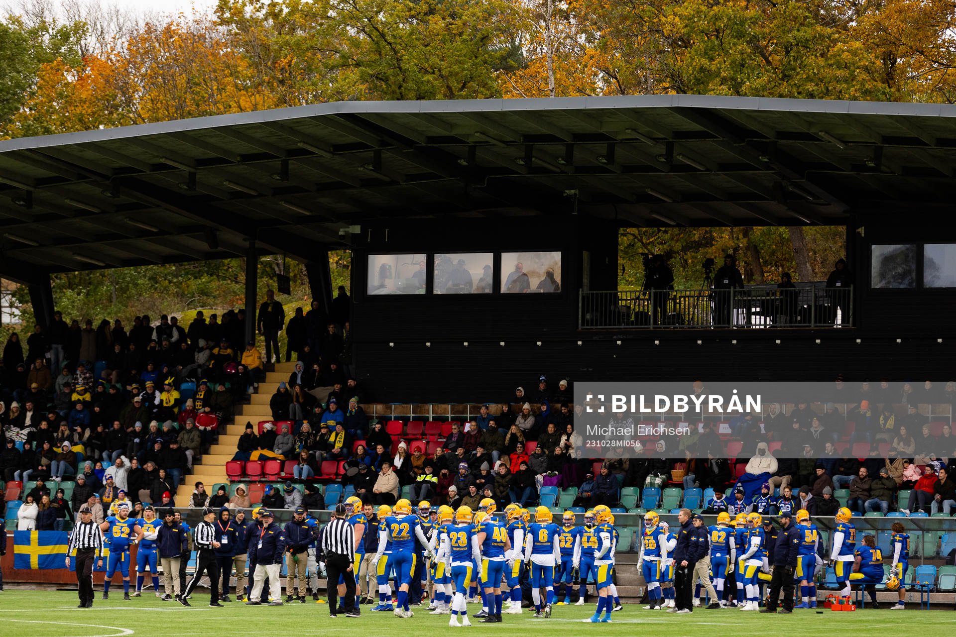 Players of Sweden