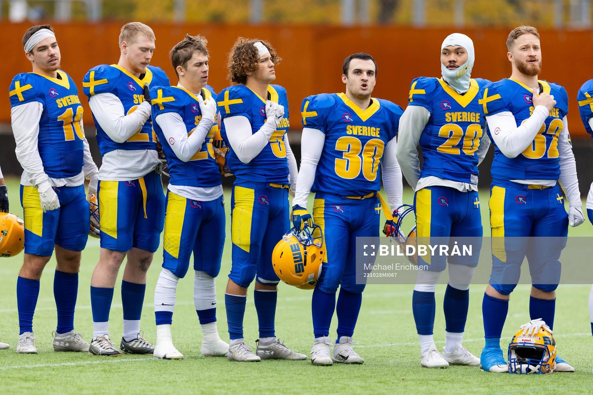 Players of Sweden