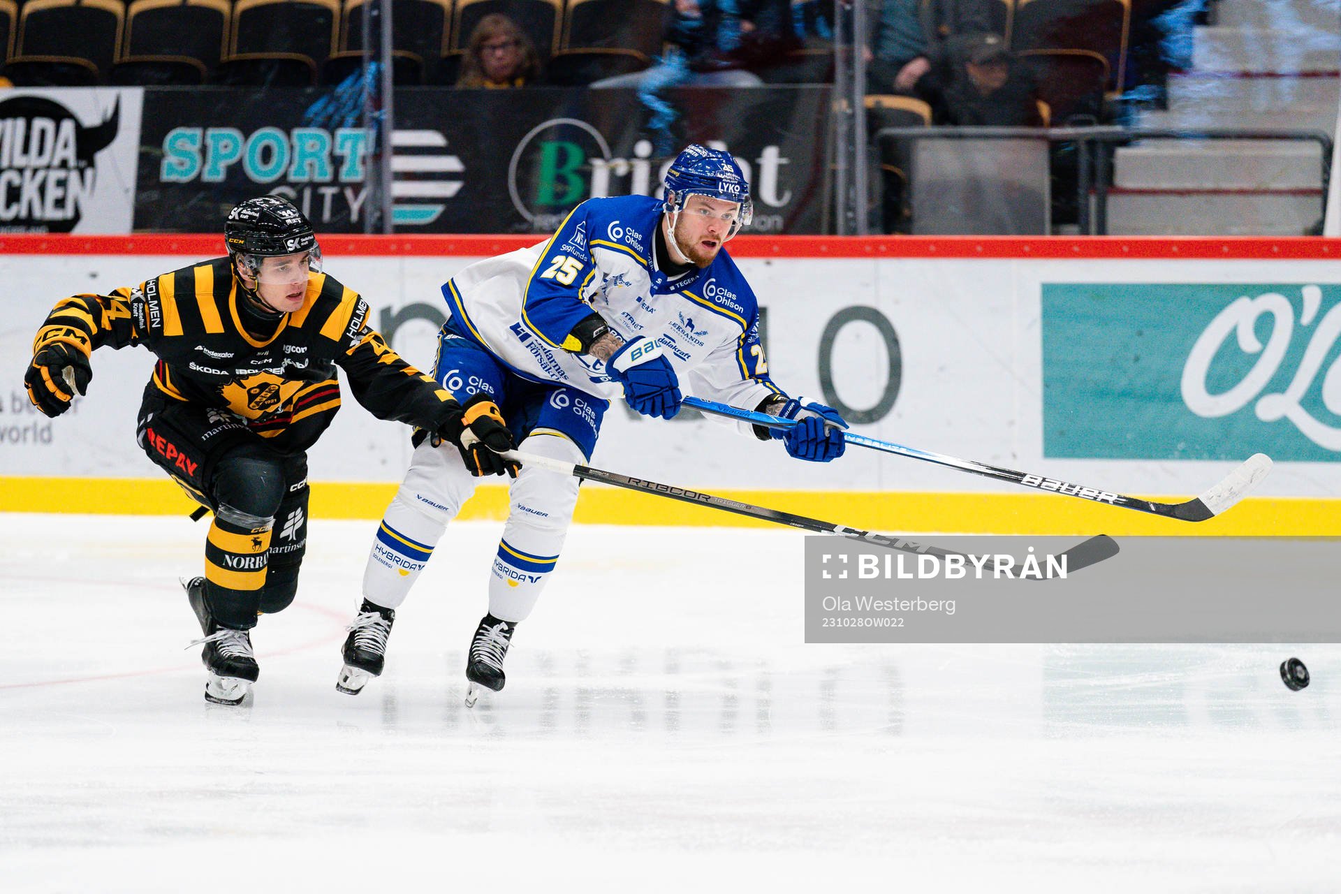 Skellefteås Elias Salomonsson och Leksands Lucas Elvenes
