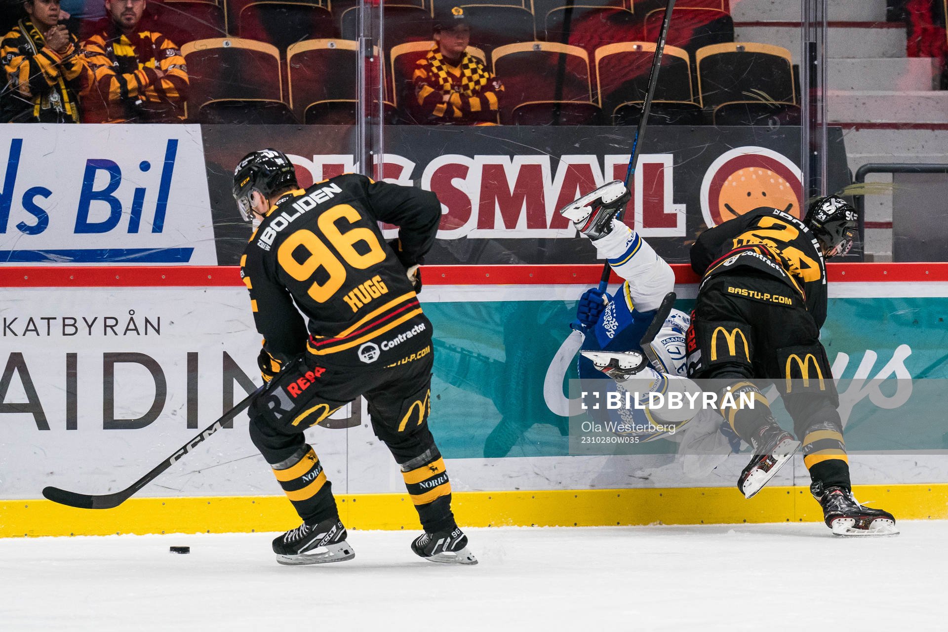 Rickard Hugg och Oscar Lindberg med Leksands Oskar Lang
