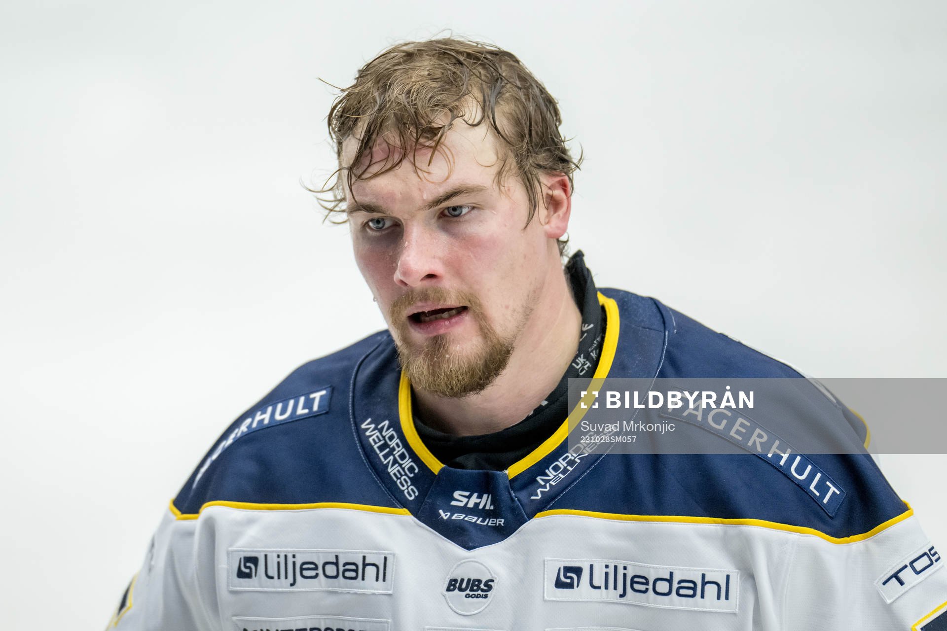 HV71s Mikael Seppälä