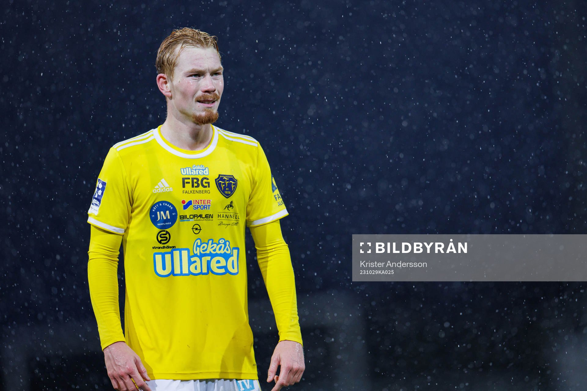 Falkenbergs Linus Borgström