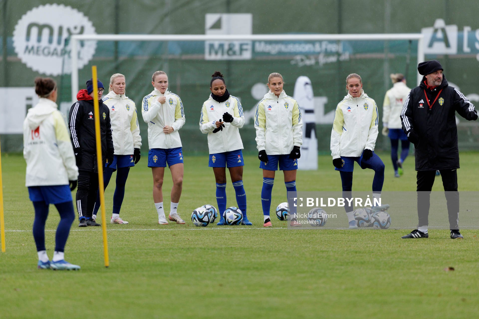 Players of the Swedish women's national football team