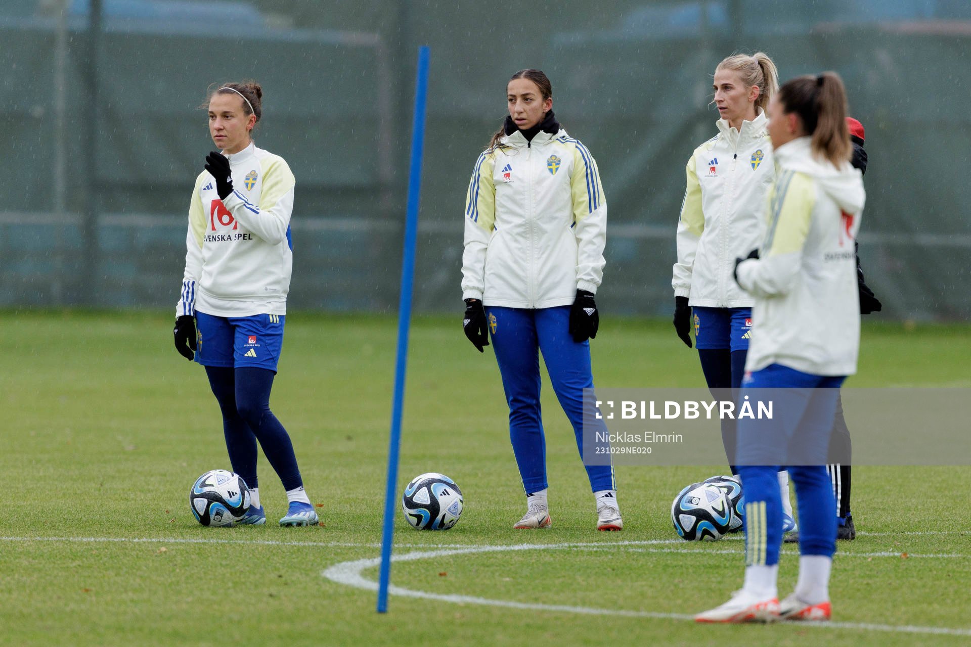 Players of the Swedish women's national football team