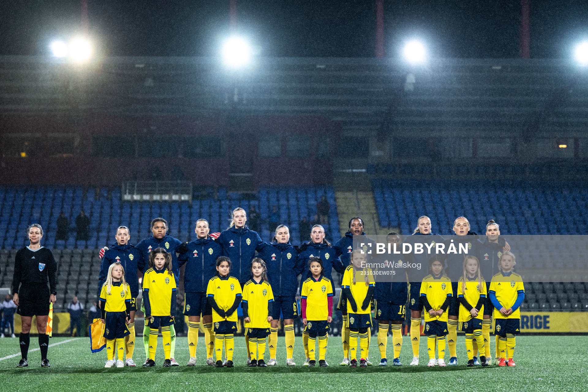 Players of Sweden