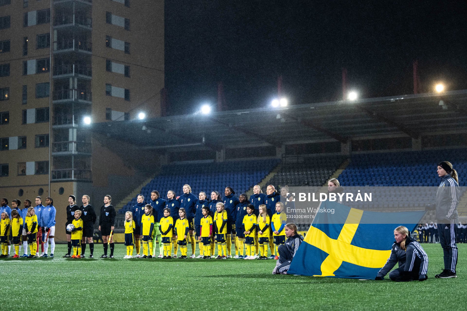 Players of Sweden