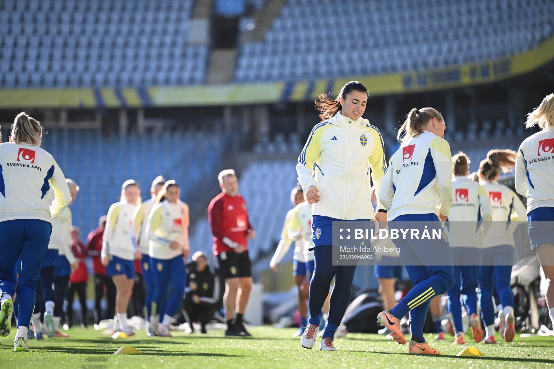 Players of the Swedish women's national football team