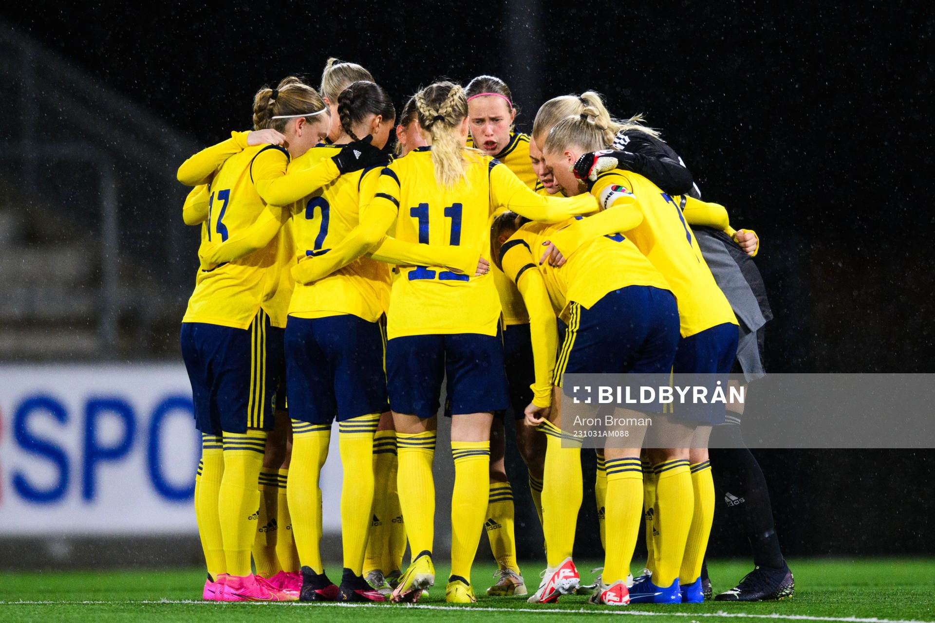 Players of Sweden gather