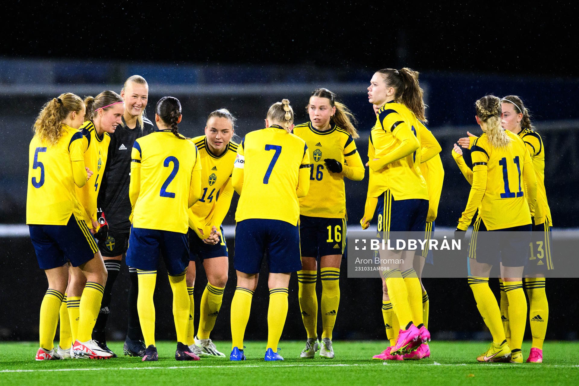 Players of Sweden gather