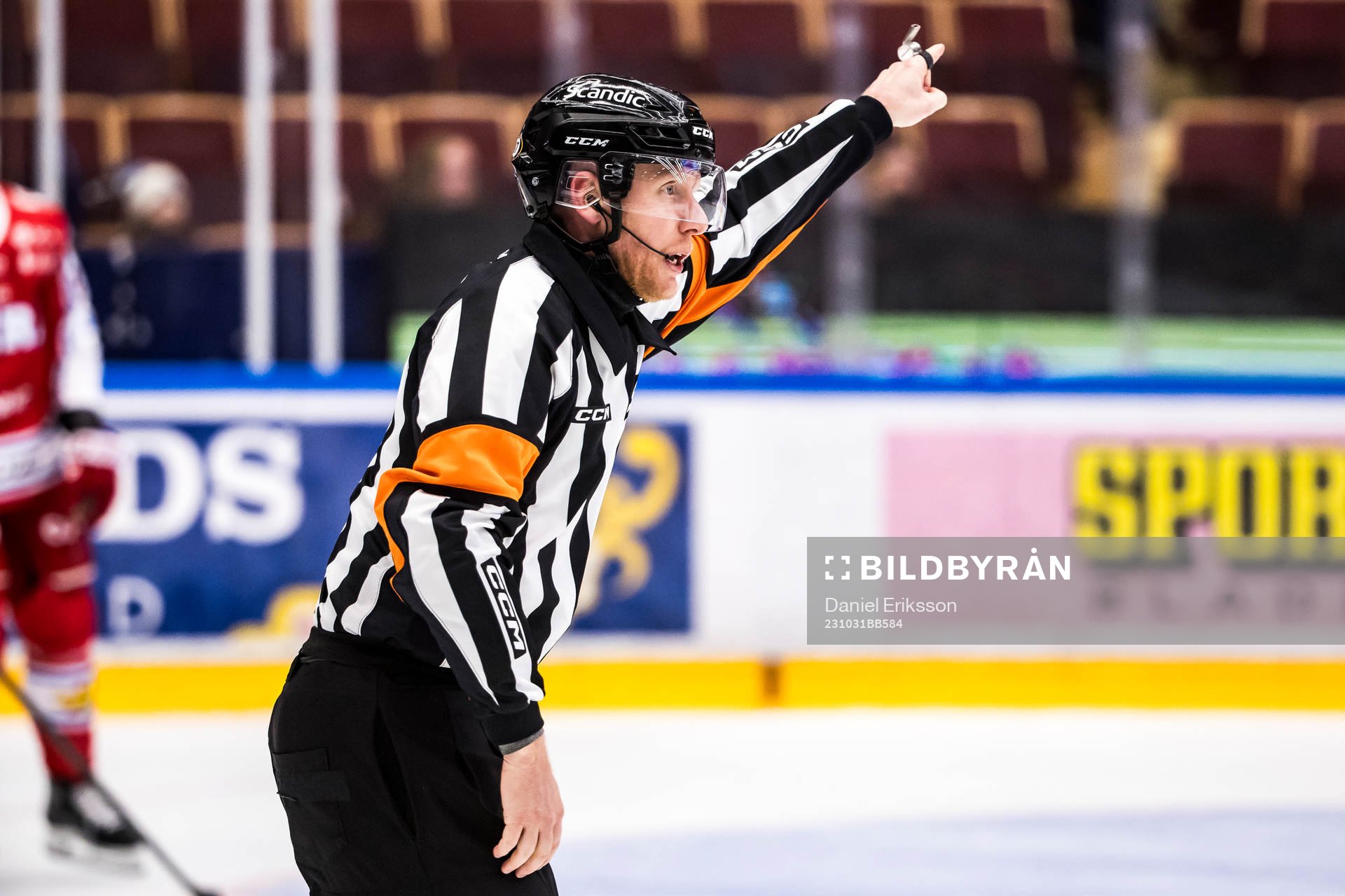 Domare Mikael Holm