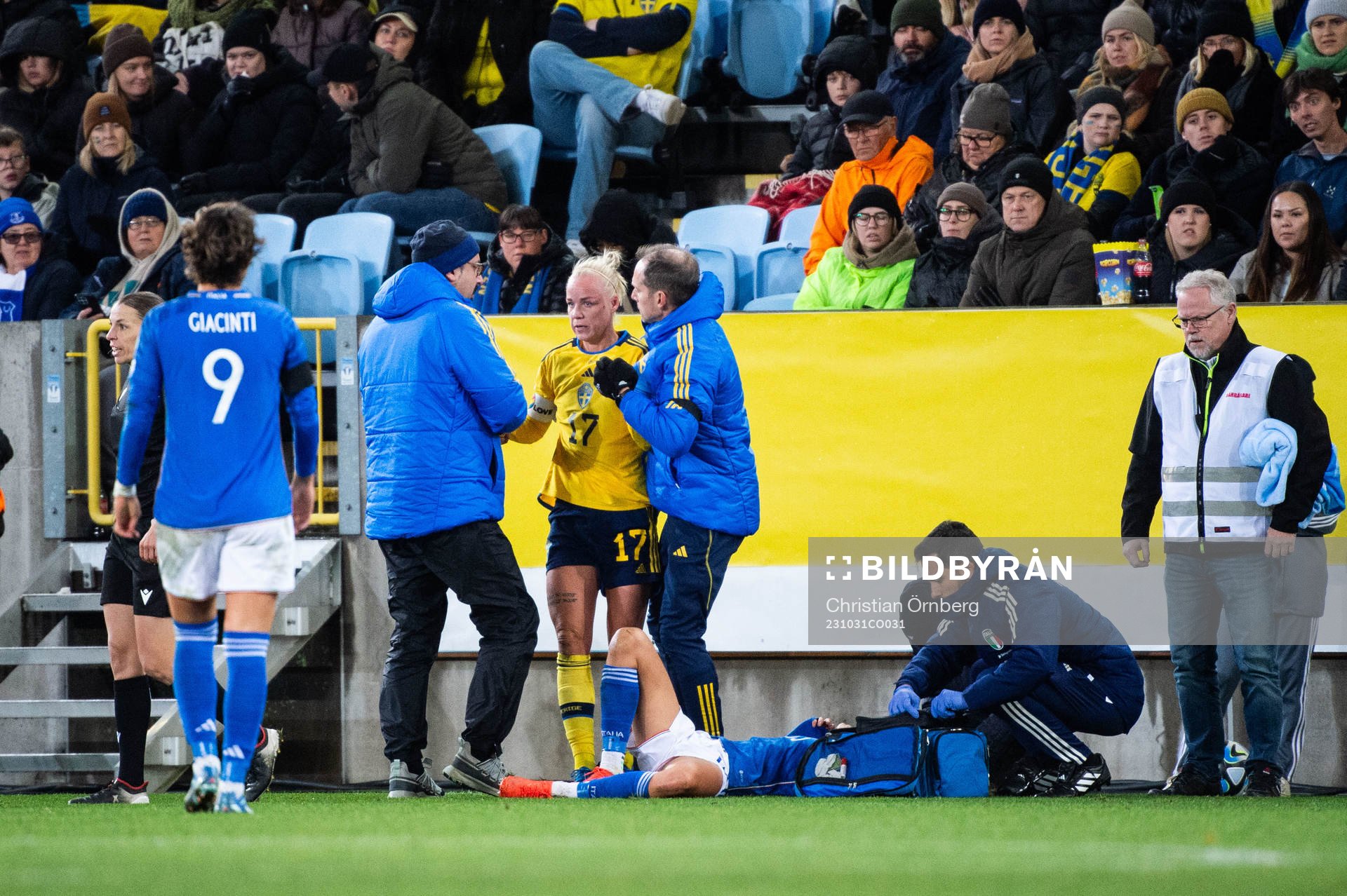 Caroline Seger of Sweden in pain