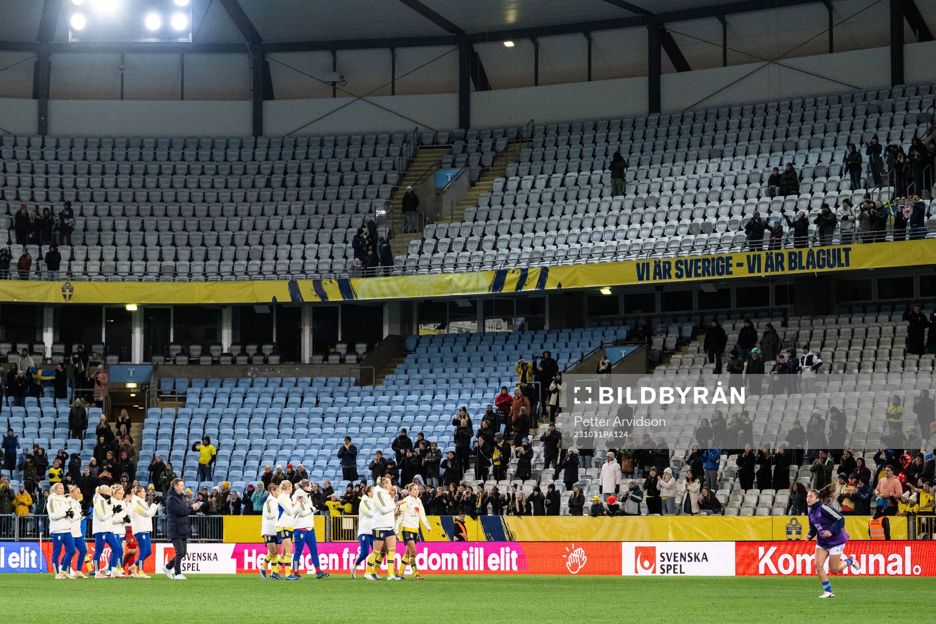 Players of Sweden