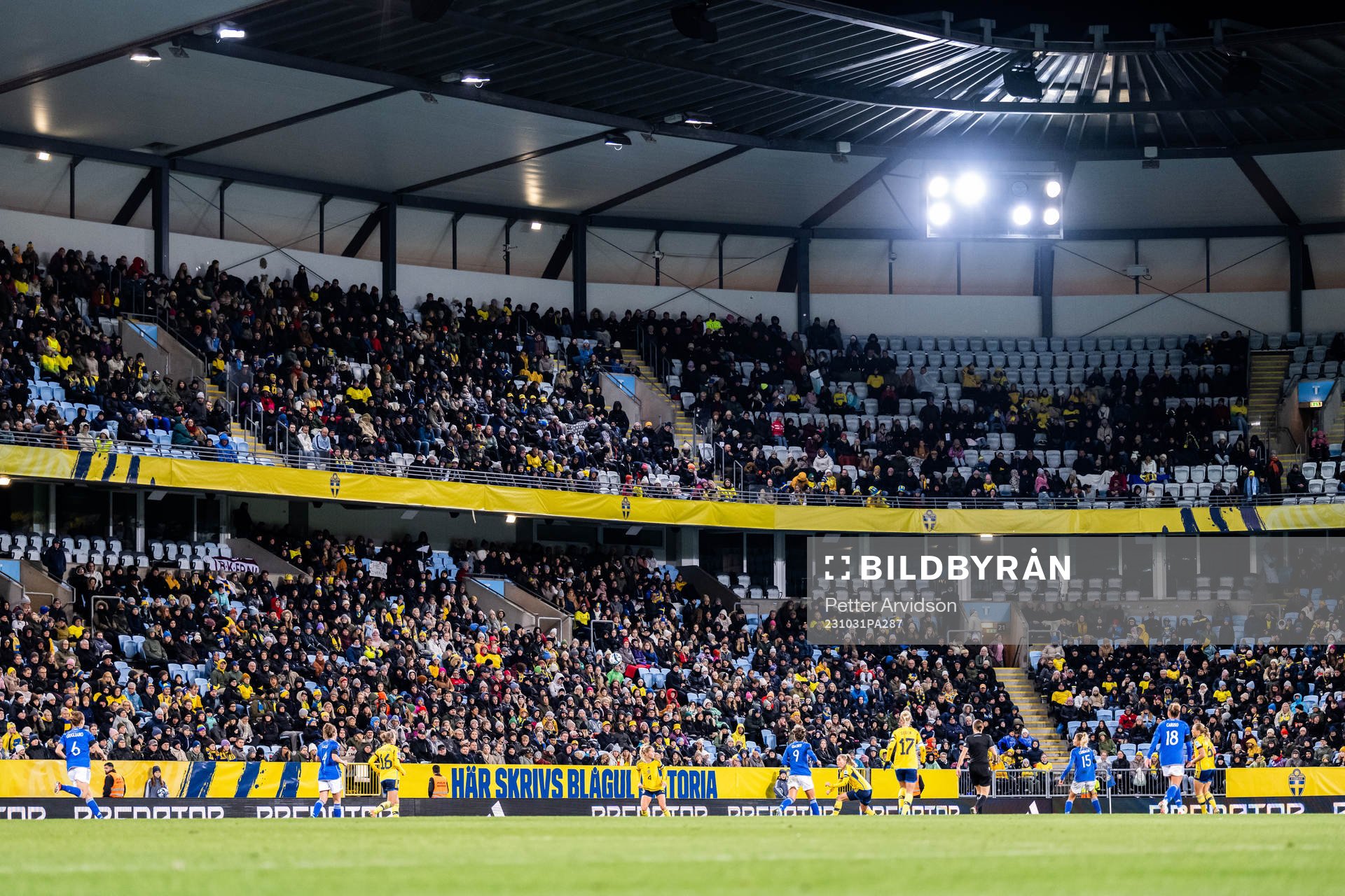 Fans of Sweden