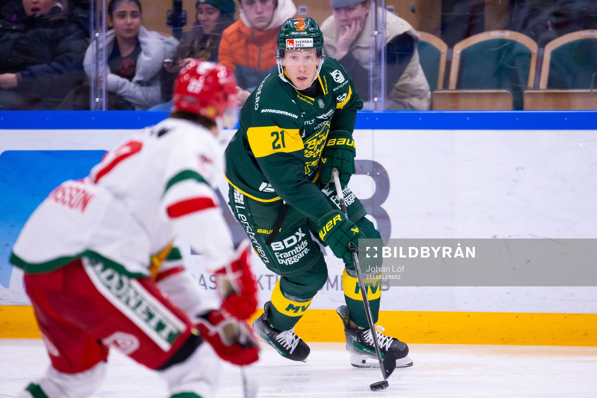 Björklövens Myles Powell