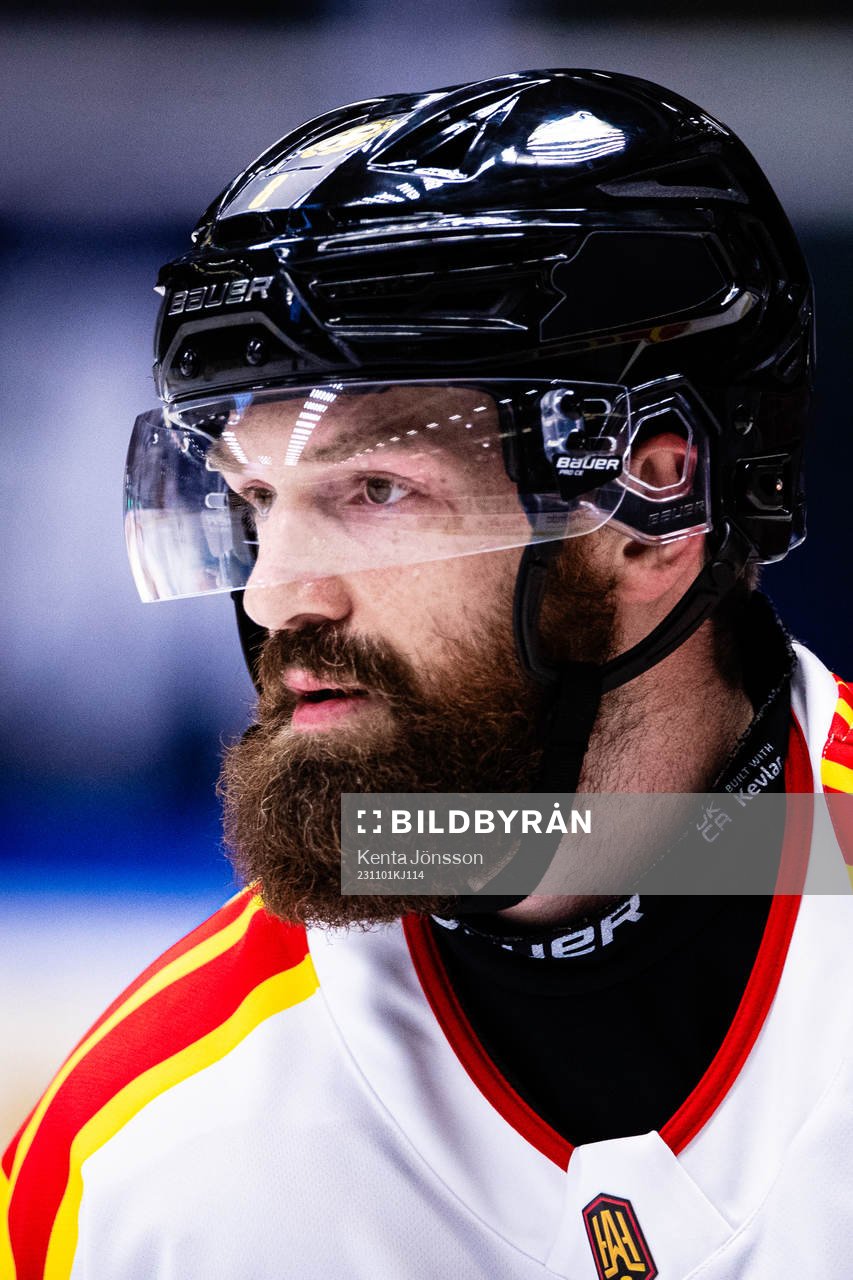 Brynäs Jordie Benn