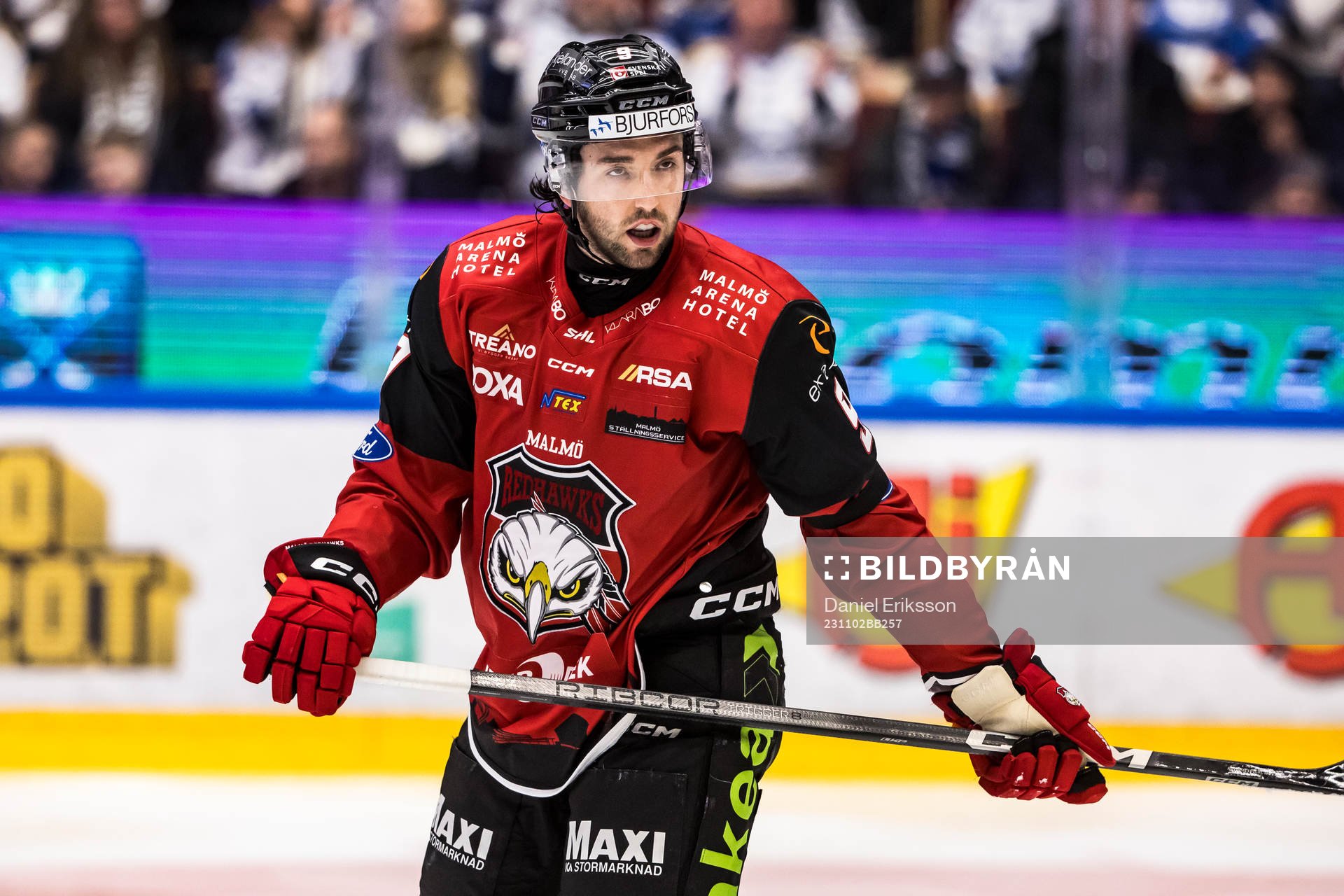 Malmö Redhawks Alan Quine