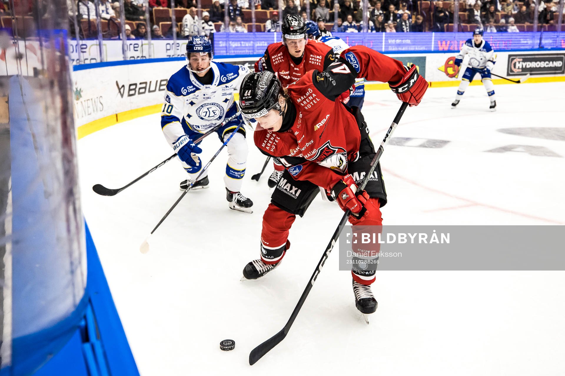 Malmö Redhawks Filip Sitar