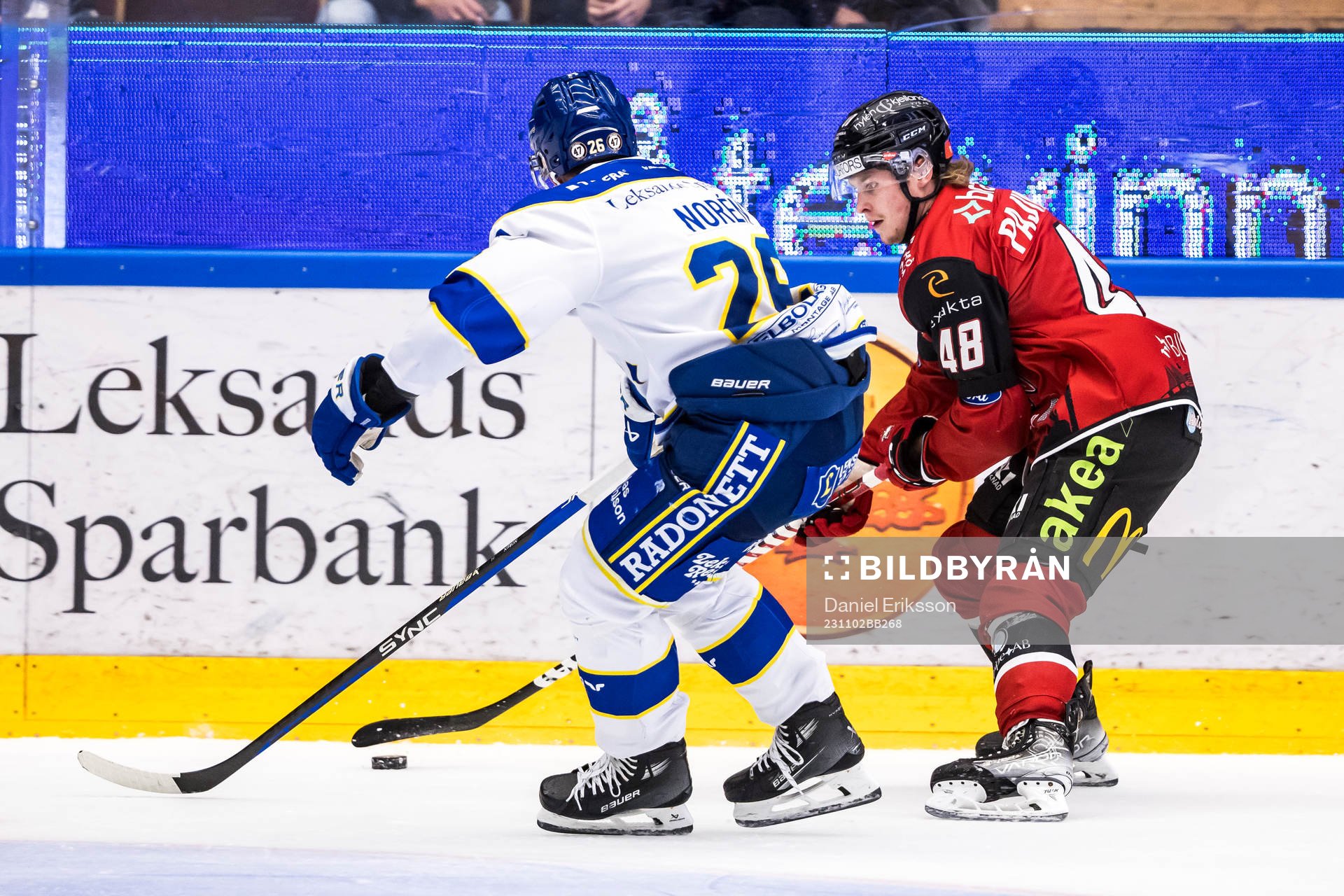 Malmö Redhawks Lauri Pajuniemi