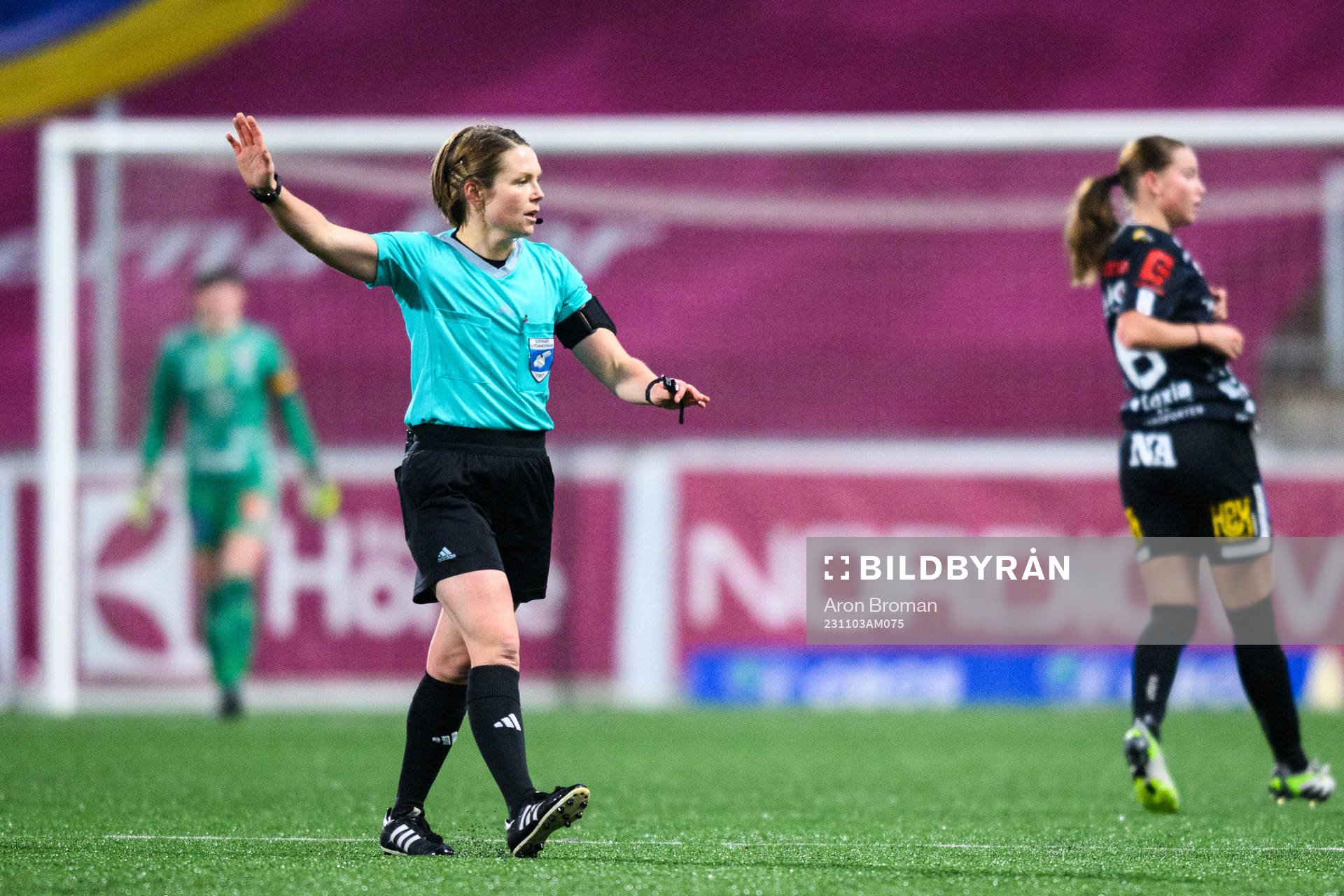 Domare Sara Wiinikka