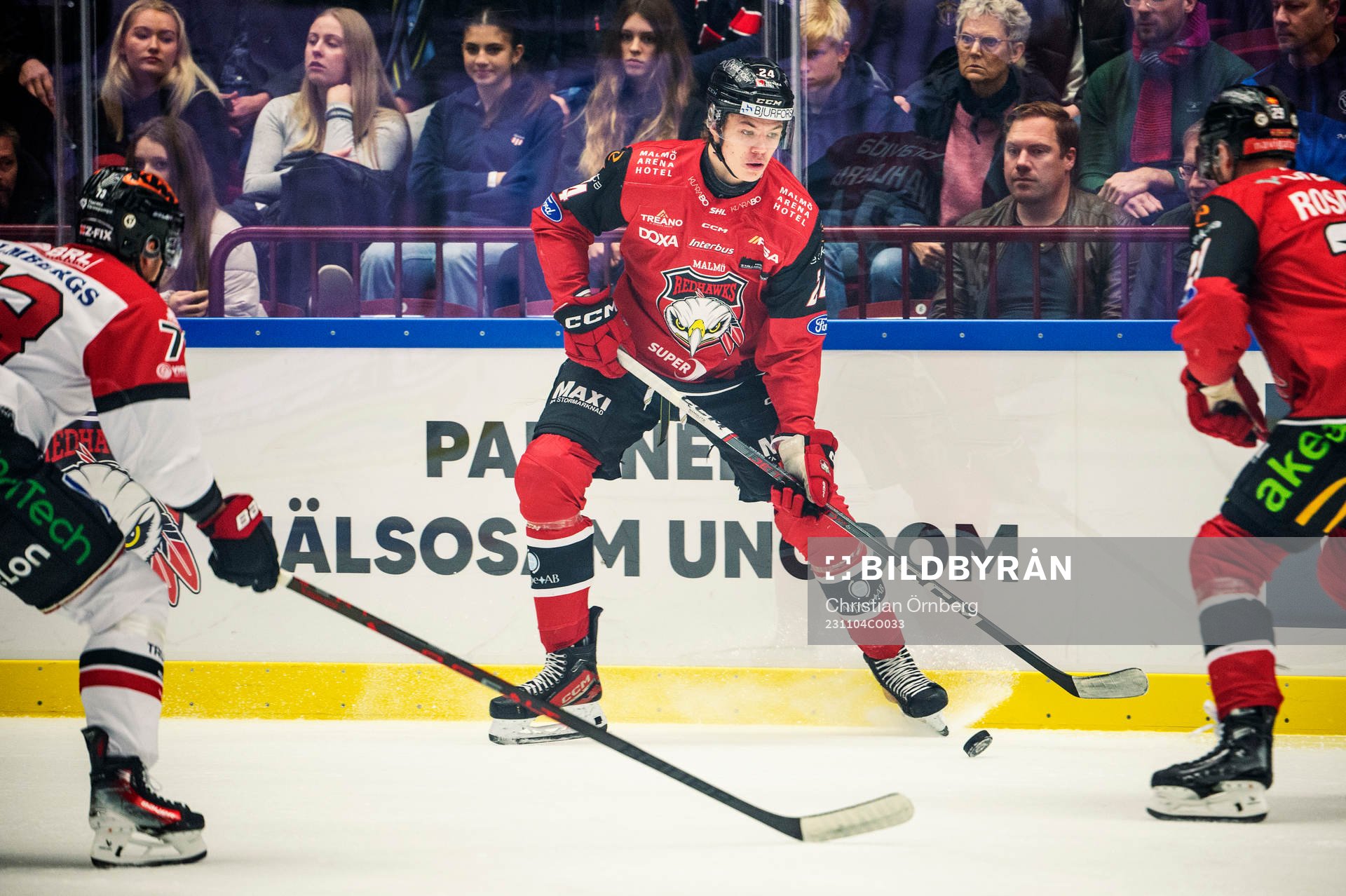 Malmö Redhawks Anton Wahlberg