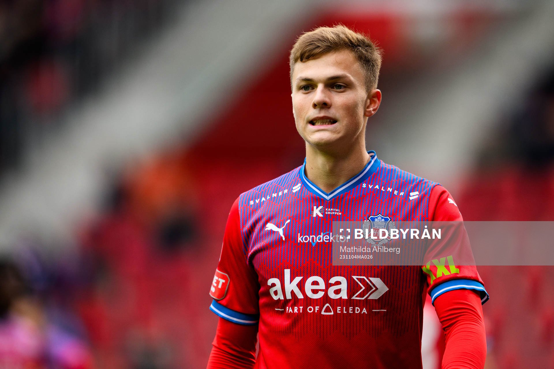 Helsingborgs Erik Ring