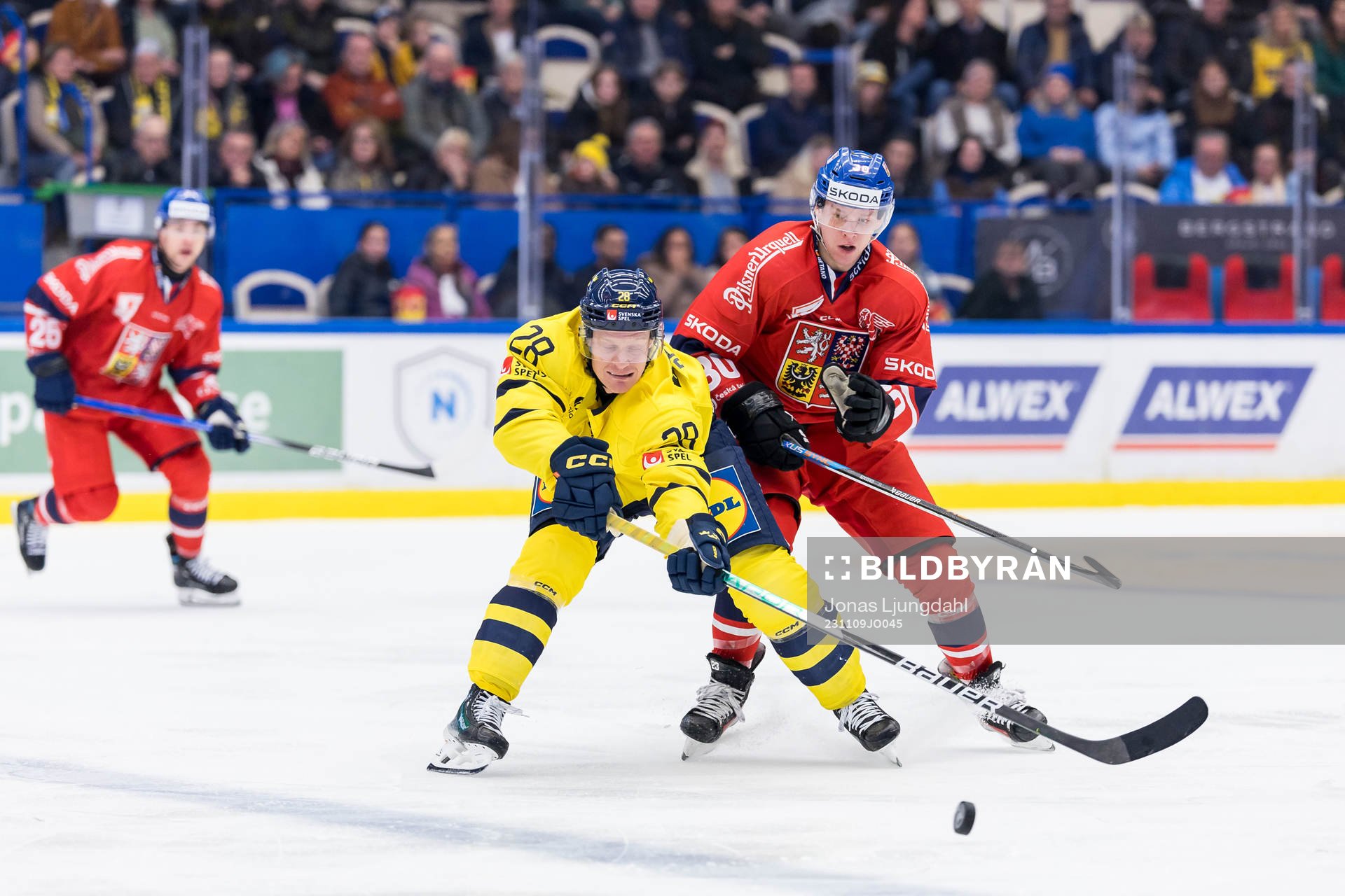 Anton Bengtsson of Sweden and Pavel Kousal of Czech Republic