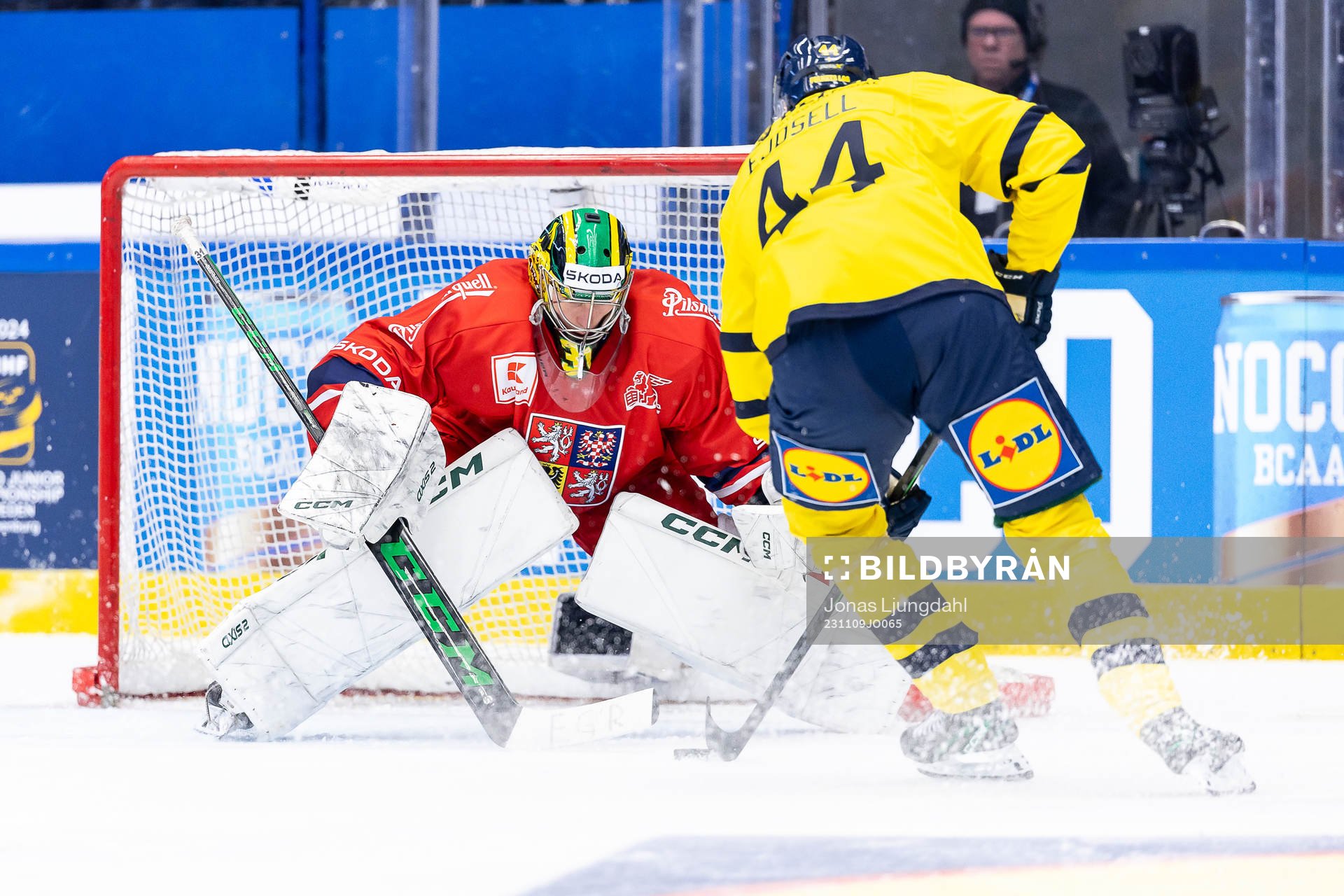 goaltender Jakub Málek of Czech Republic and Victor