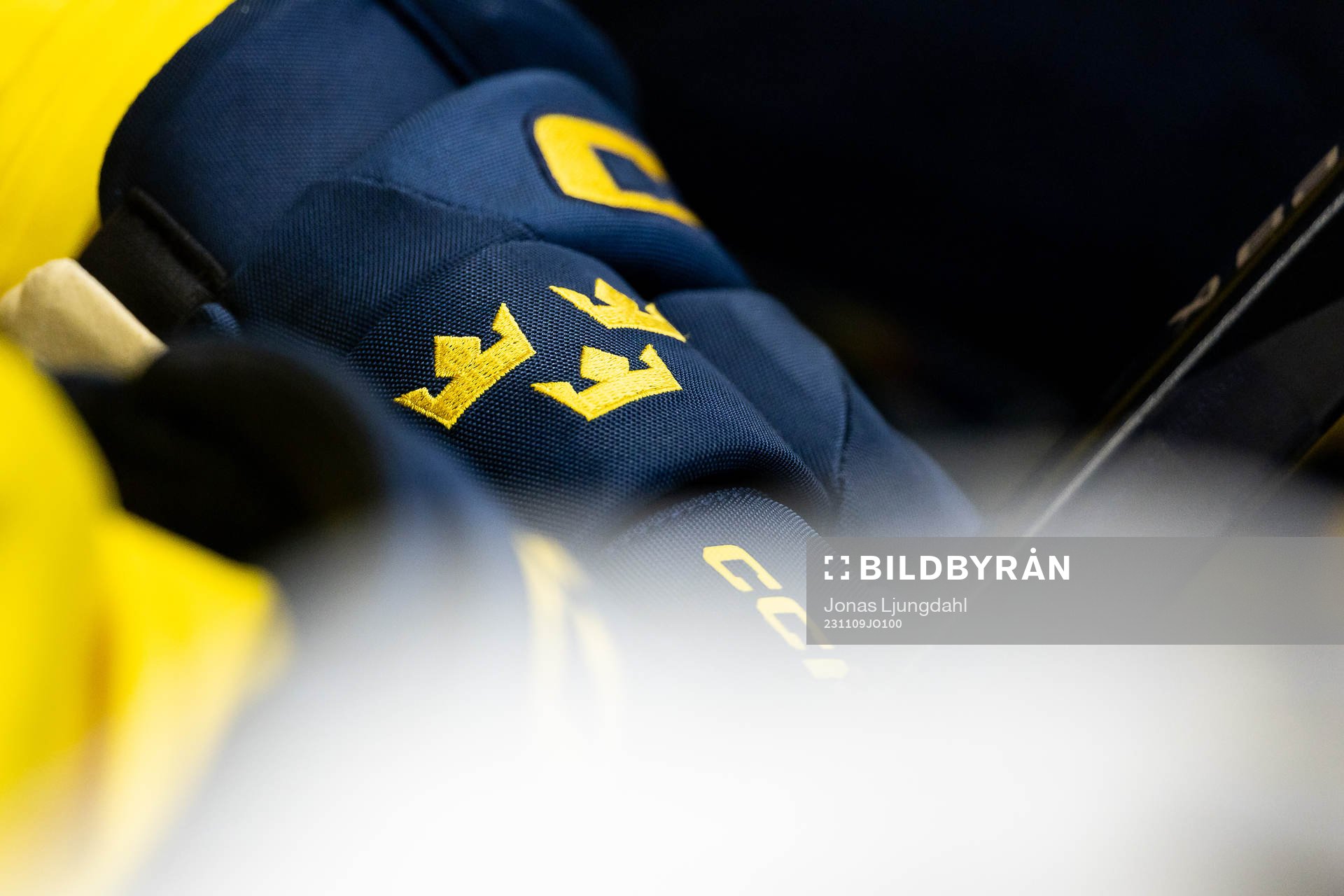 Hockey gloves of Swedish player