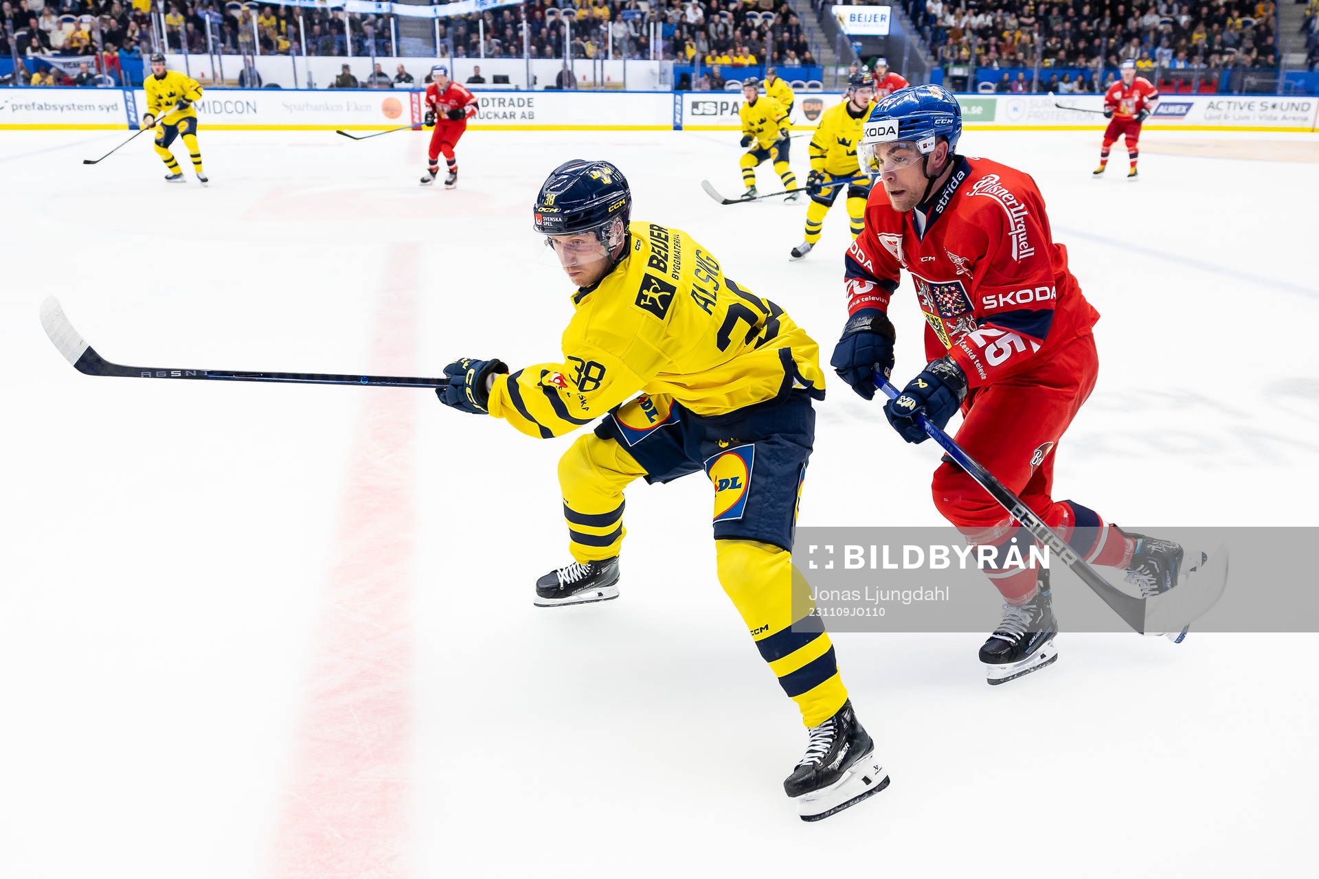 Olle Alsing of Sweden and Radan Lenc of Czech Republic