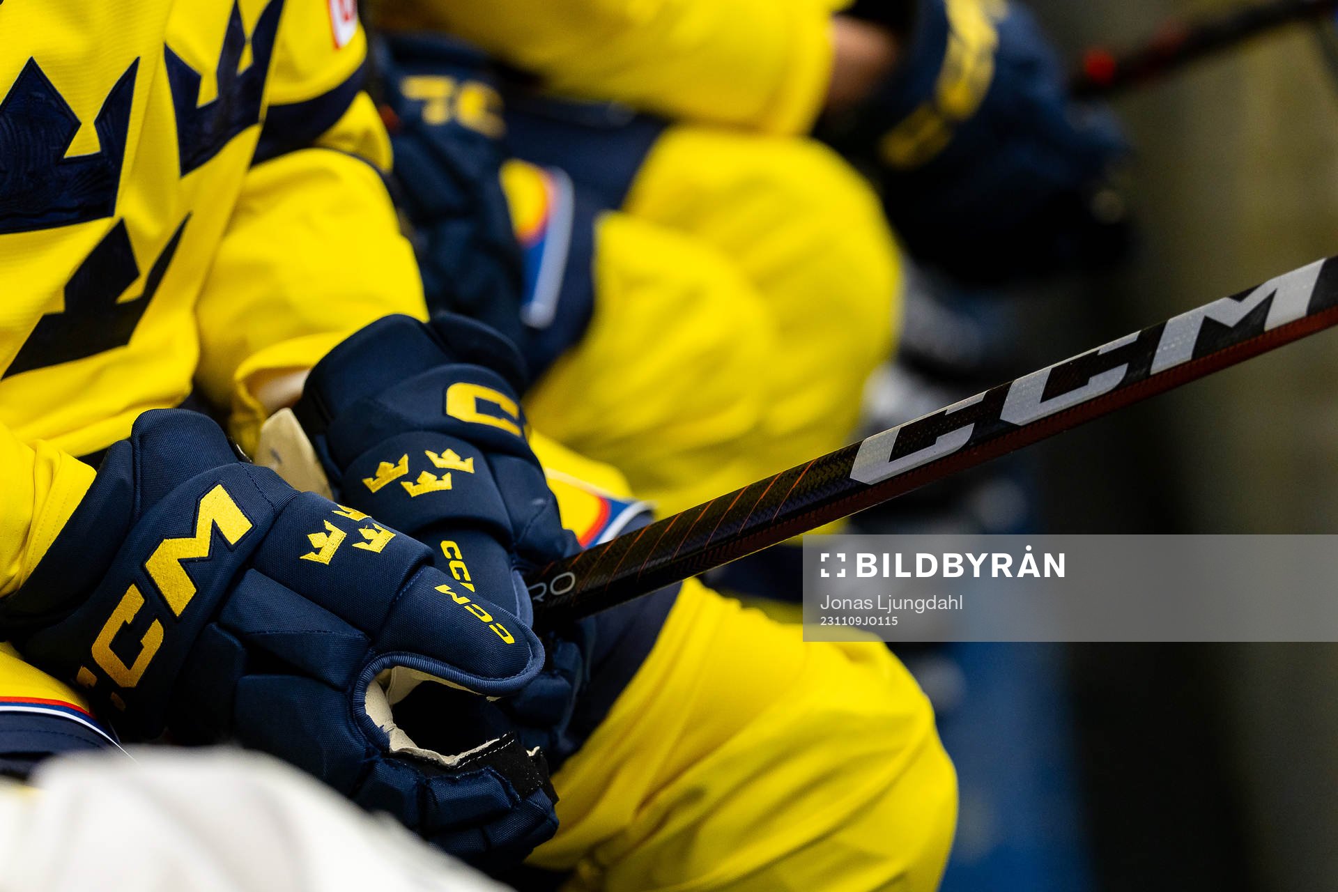 Hockey gloves of Sweden