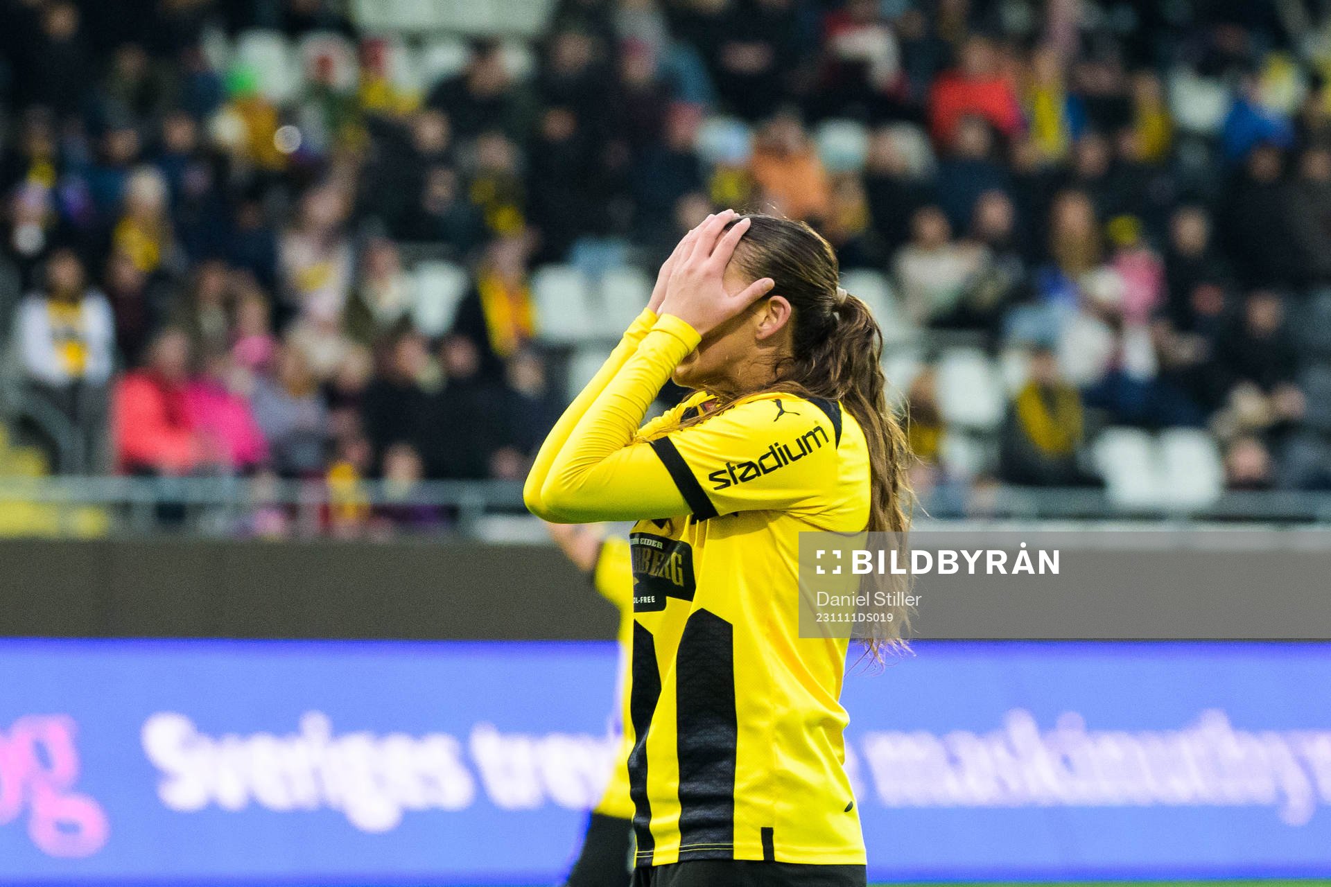 Häckens Rusul Rosa Kafaji deppar