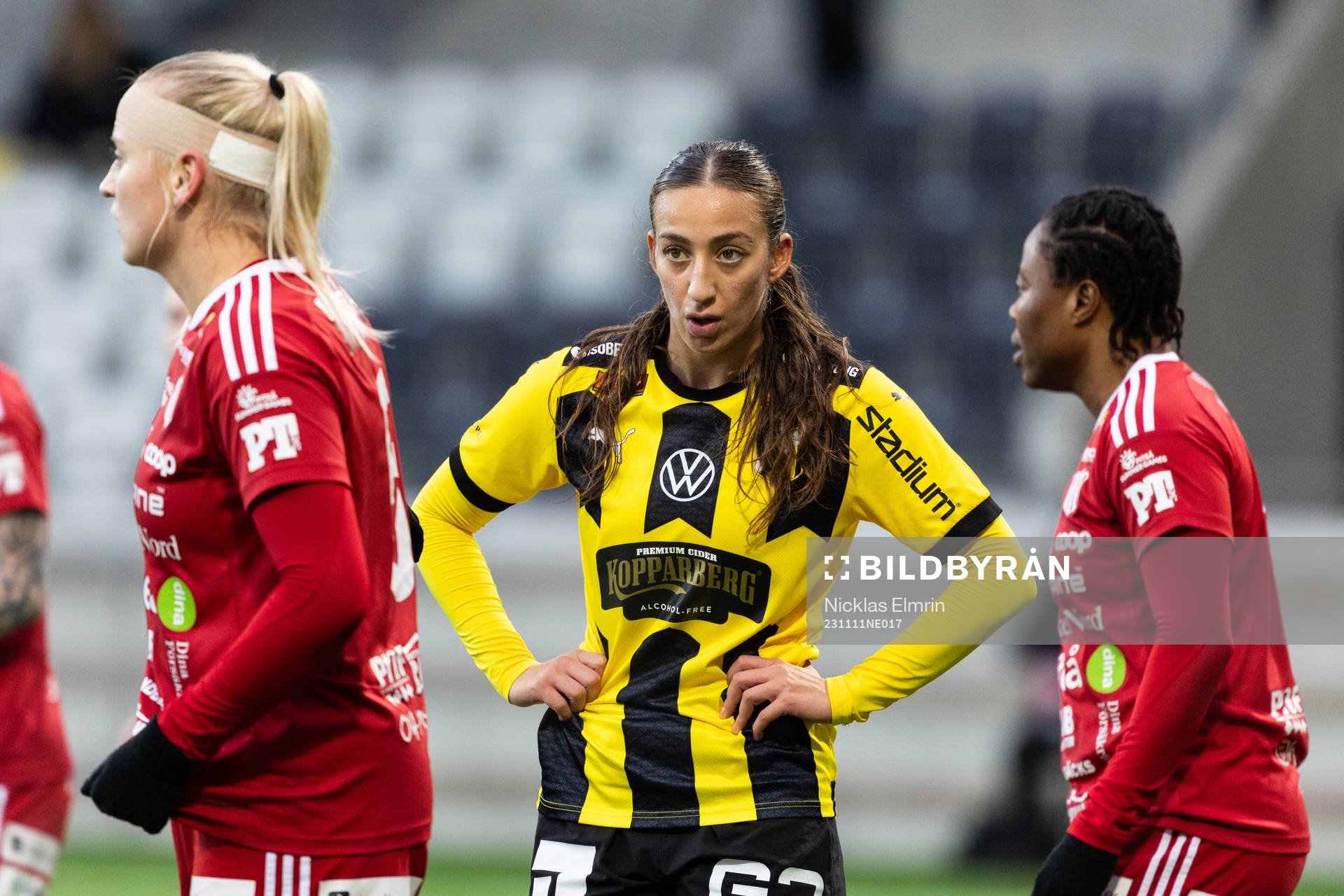 Häckens Rusul Rosa Kafaji