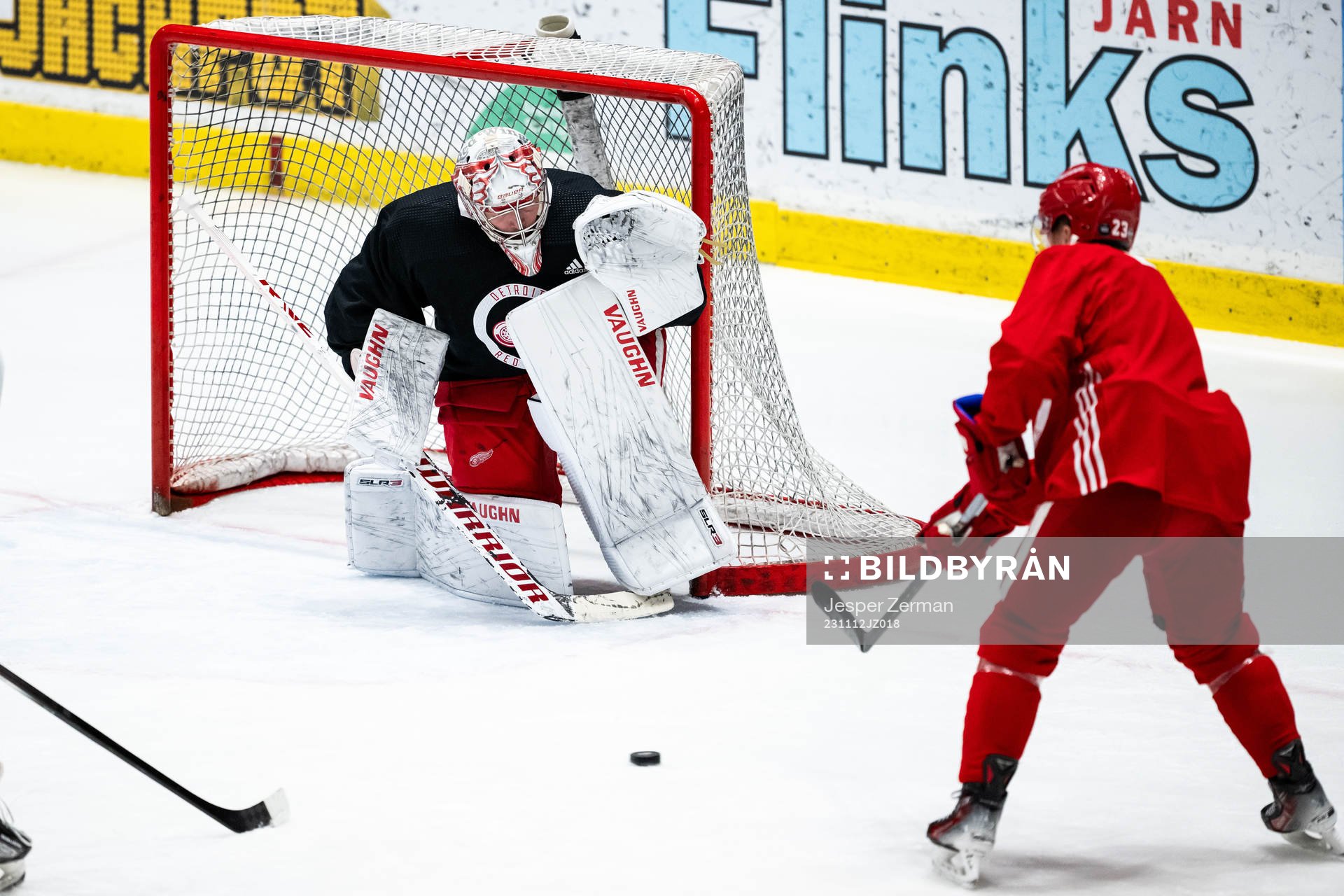 goalkeeper Alex Lyon of Detroit Red Wings