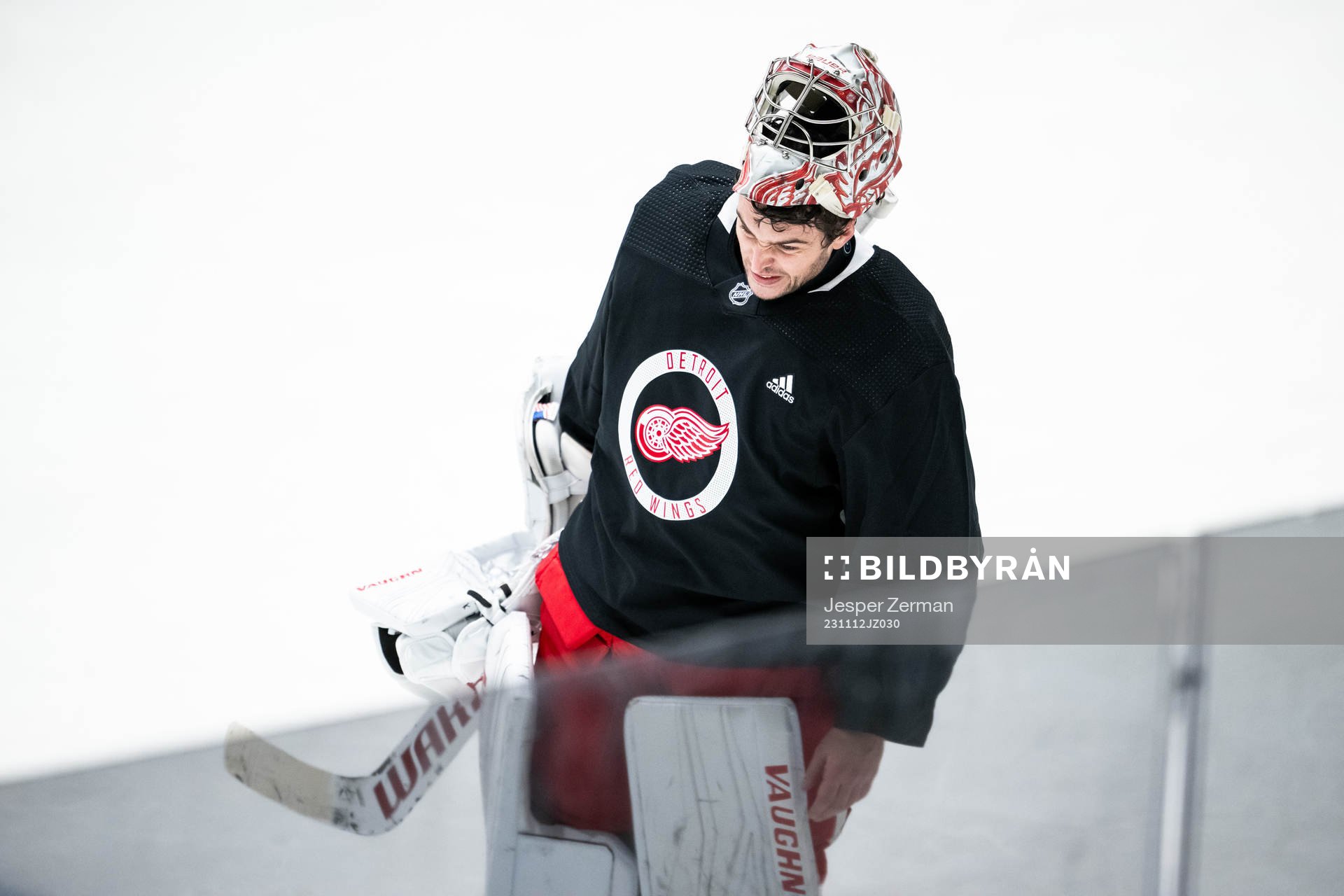 goalkeeper Alex Lyon of Detroit Red Wings